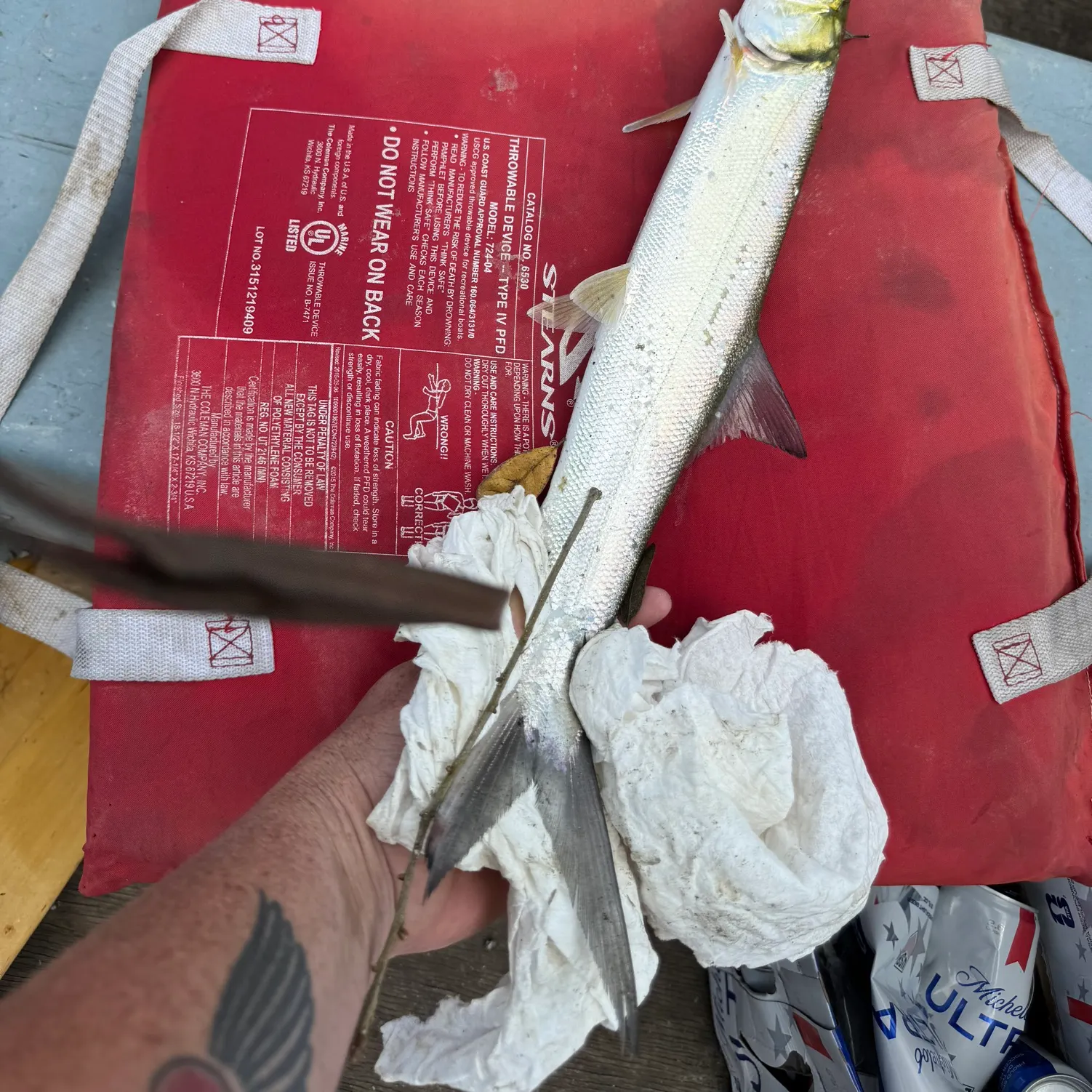 recently logged catches