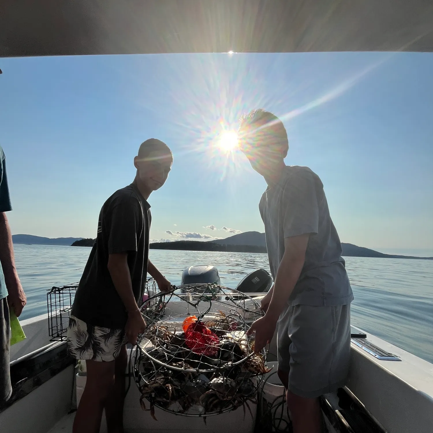 The most recent Jonah crab catches on Fishbrain