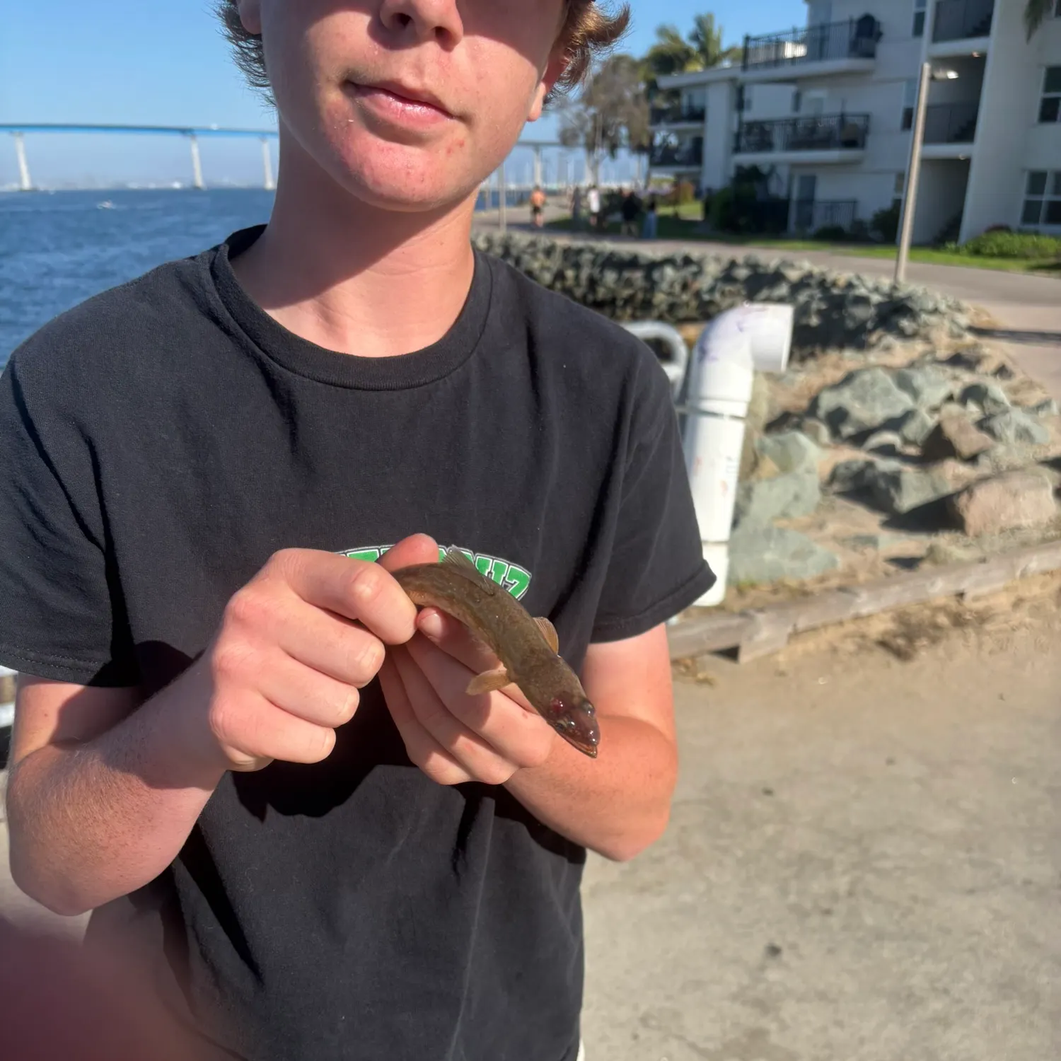 most liked catch image