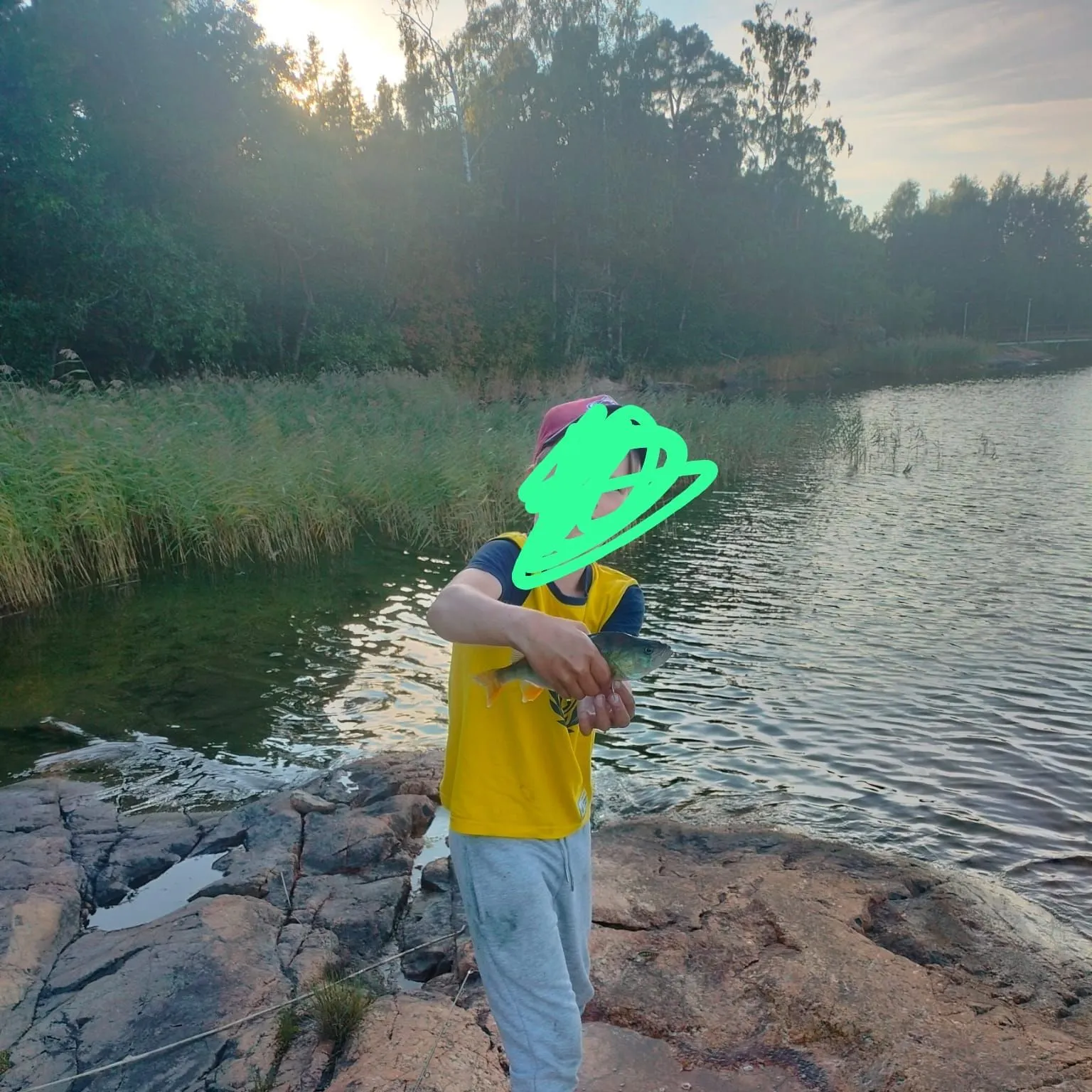 European perch caught on Fishbrain