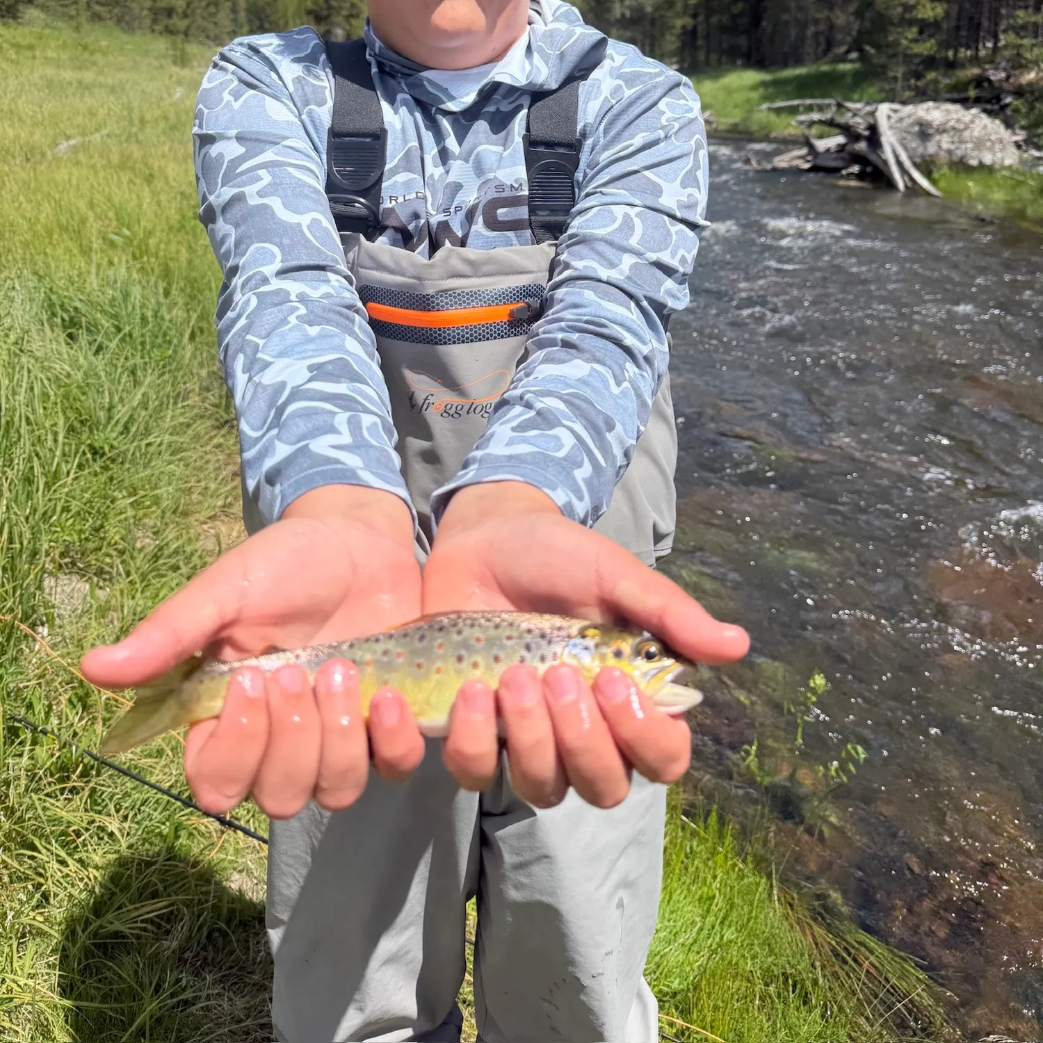Cutthroat trout caught on Fishbrain