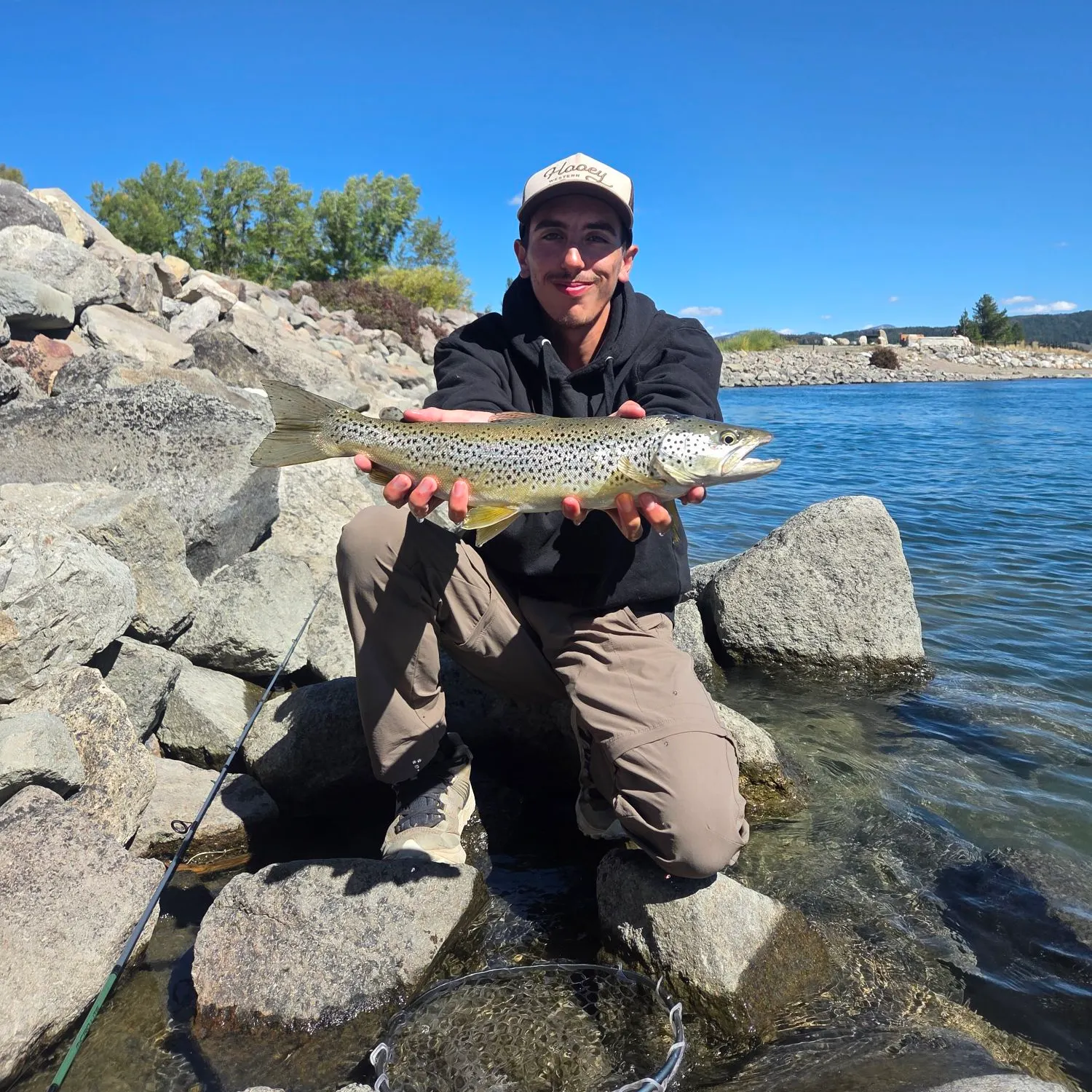 Brown trout caught on Fishbrain