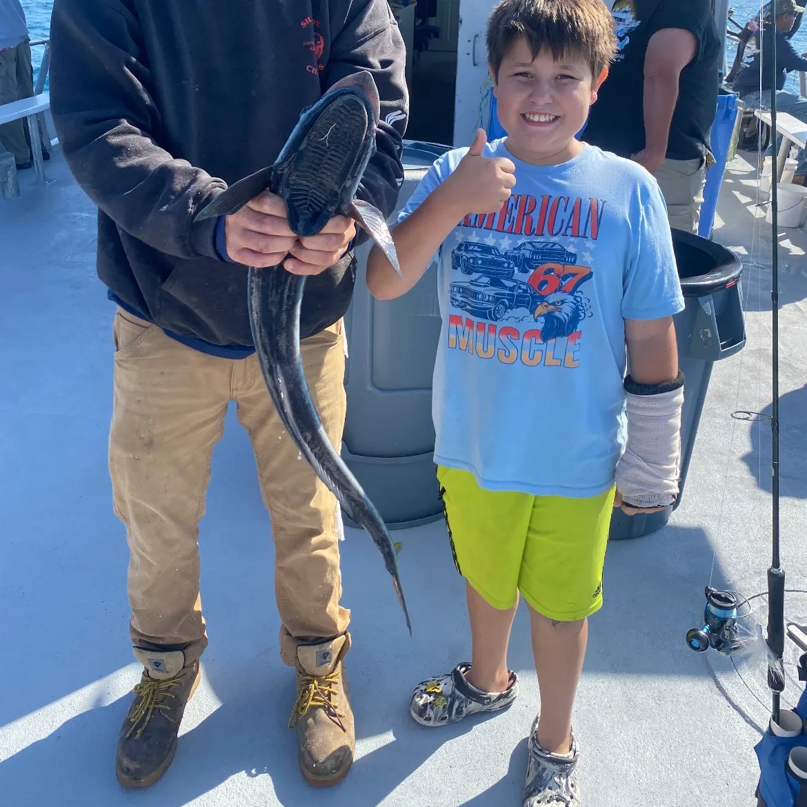 The most recent Live sharksucker catches on Fishbrain