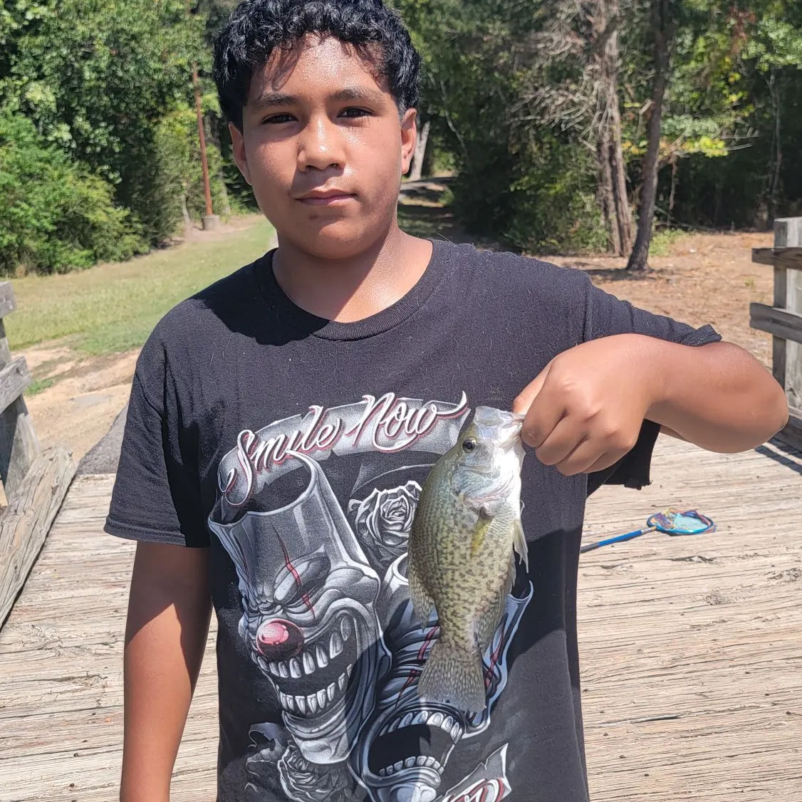 Black crappie caught on Fishbrain