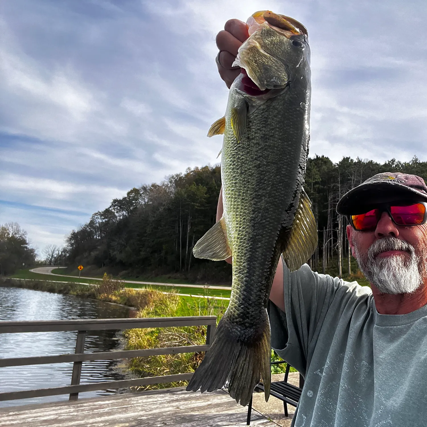 Largemouth bass caught on Fishbrain