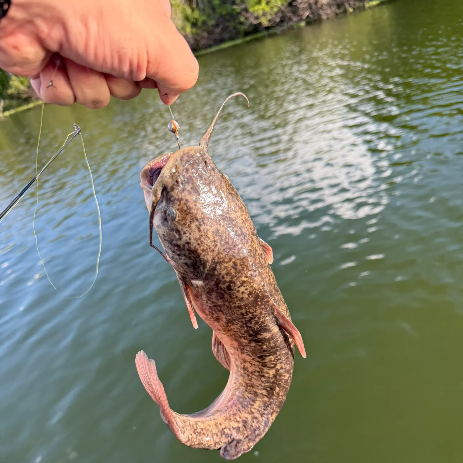 catch