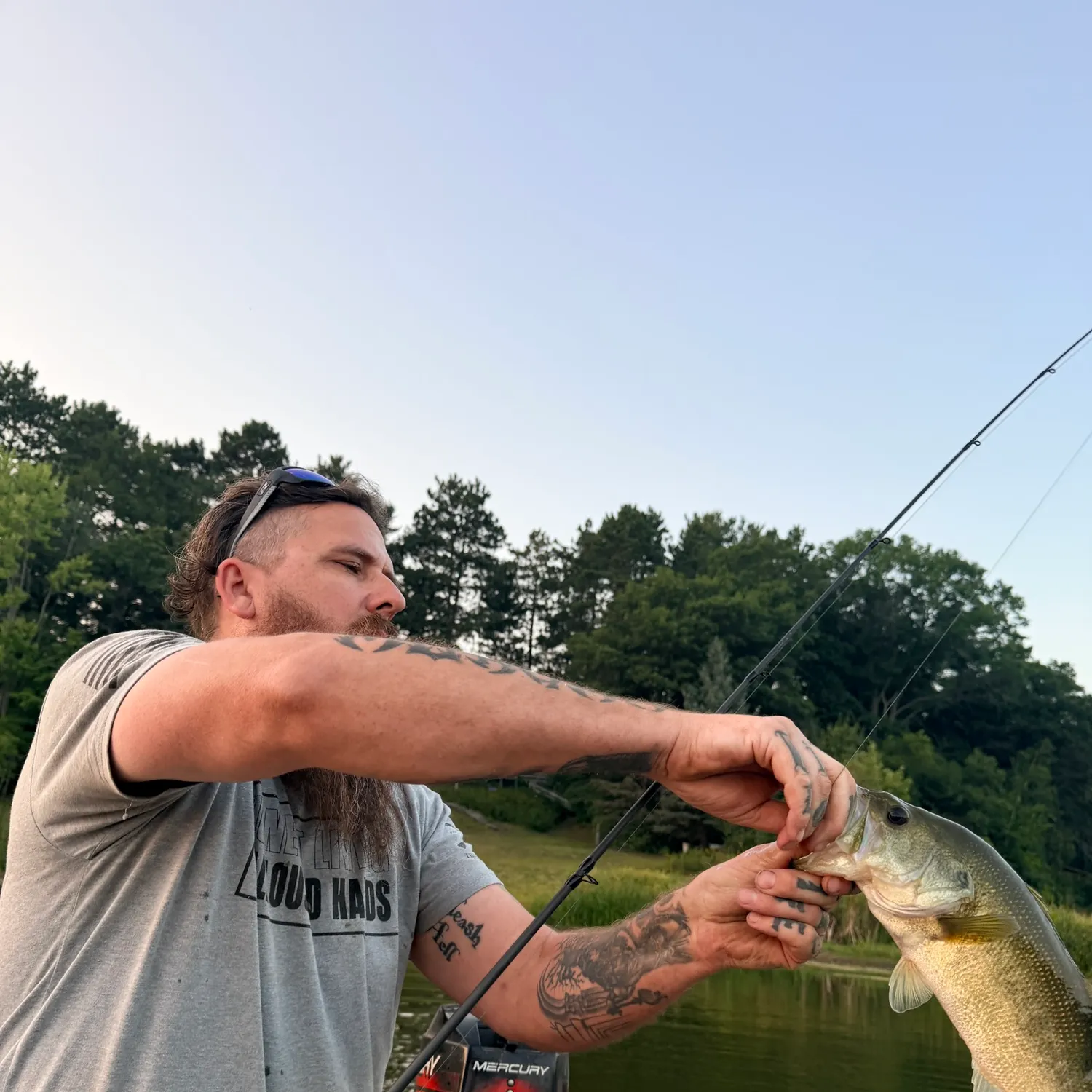 Largemouth bass caught on Fishbrain