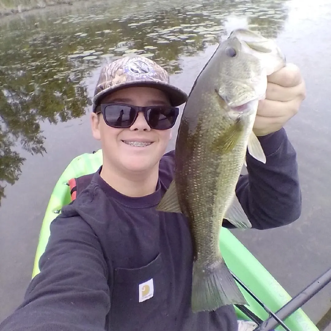 Largemouth bass caught on Fishbrain