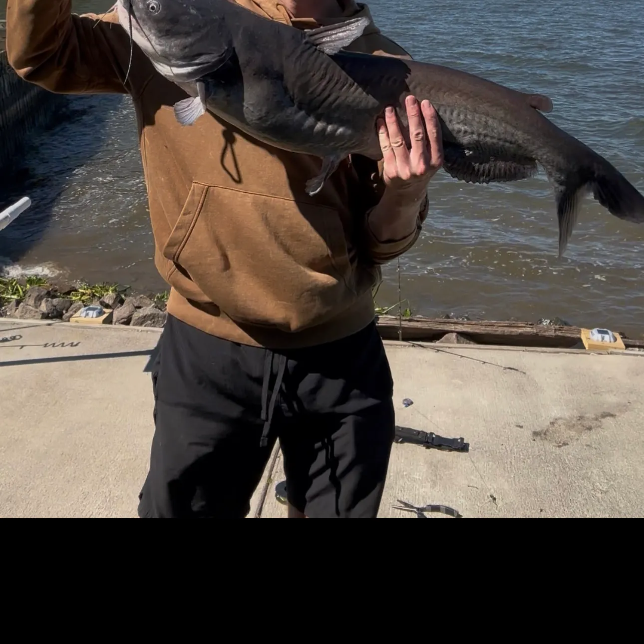 Blue catfish caught on Fishbrain