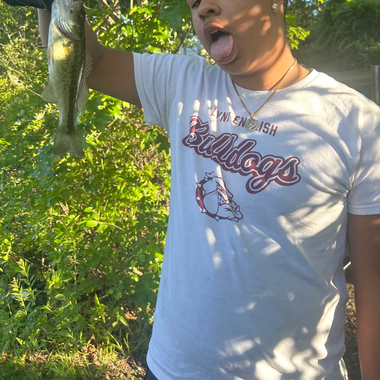 The most recent Milk shark catches on Fishbrain