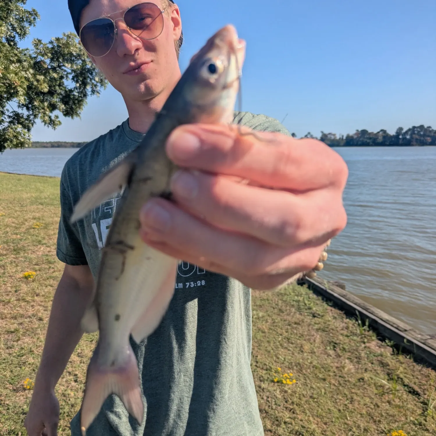 Fish caught on Fishbrain