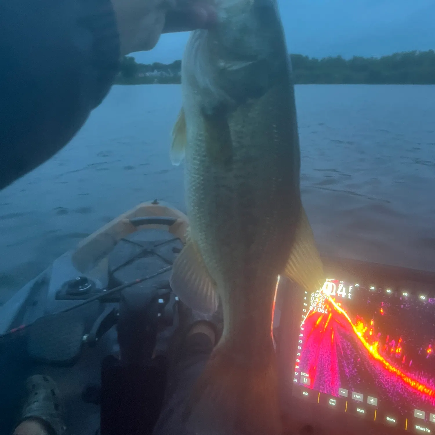 Largemouth bass caught on Fishbrain