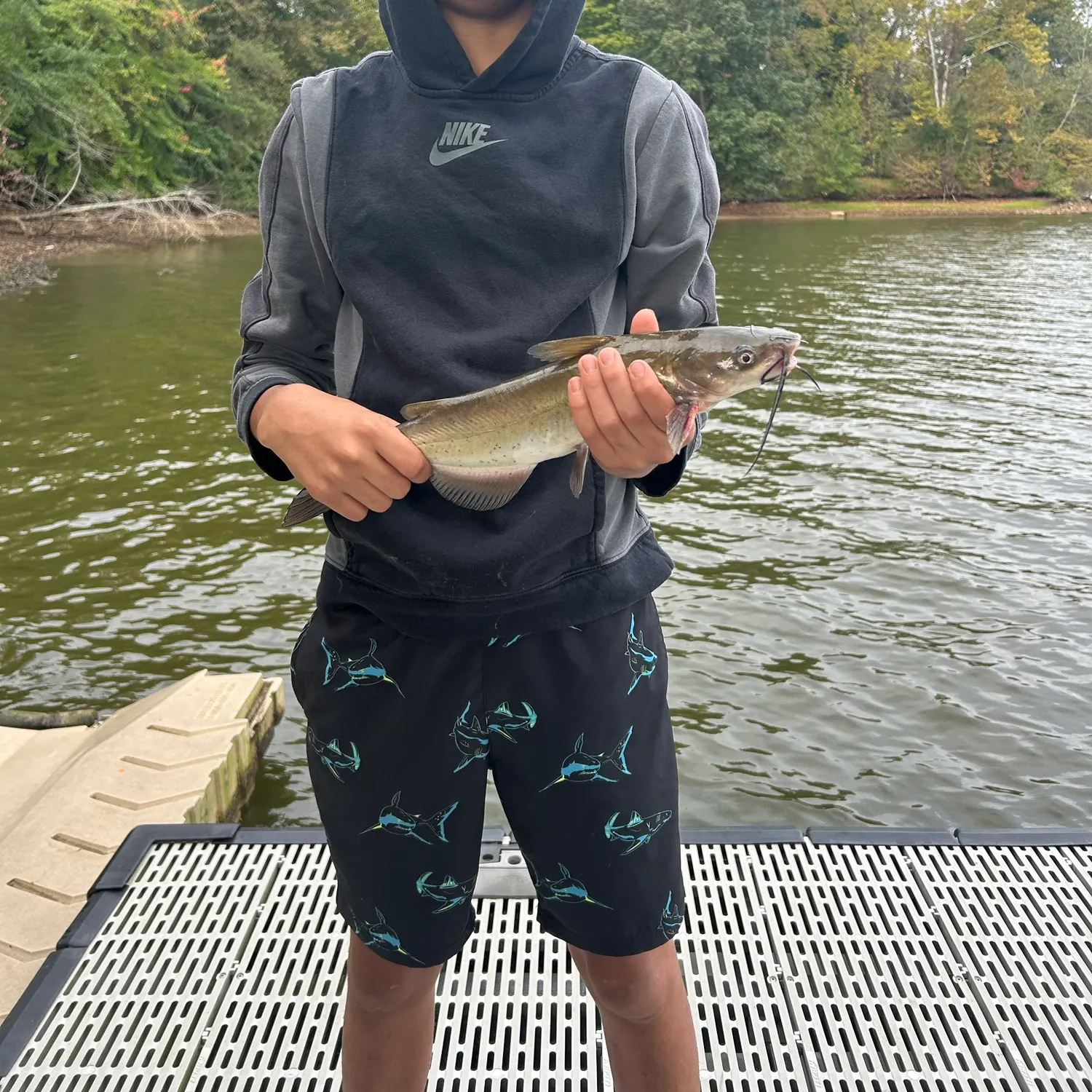 Channel catfish caught on Fishbrain