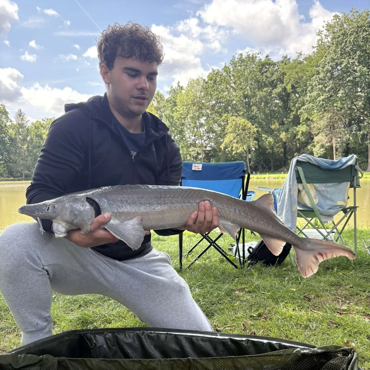 The most recent White sturgeon catches on Fishbrain