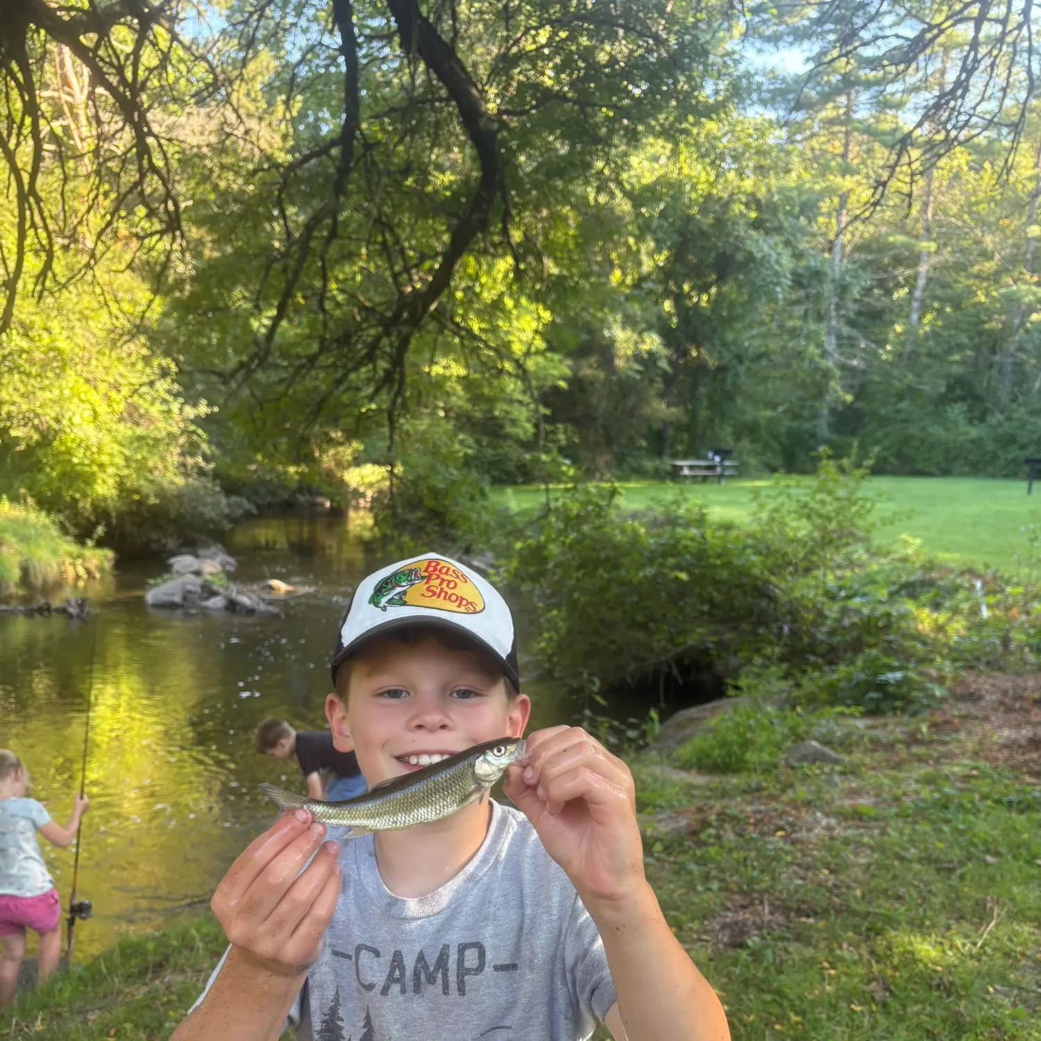 Fallfish caught on Fishbrain