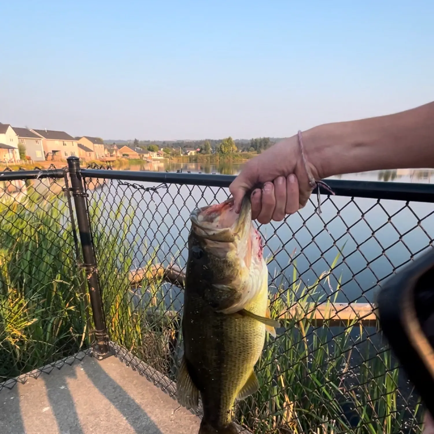 angler catch