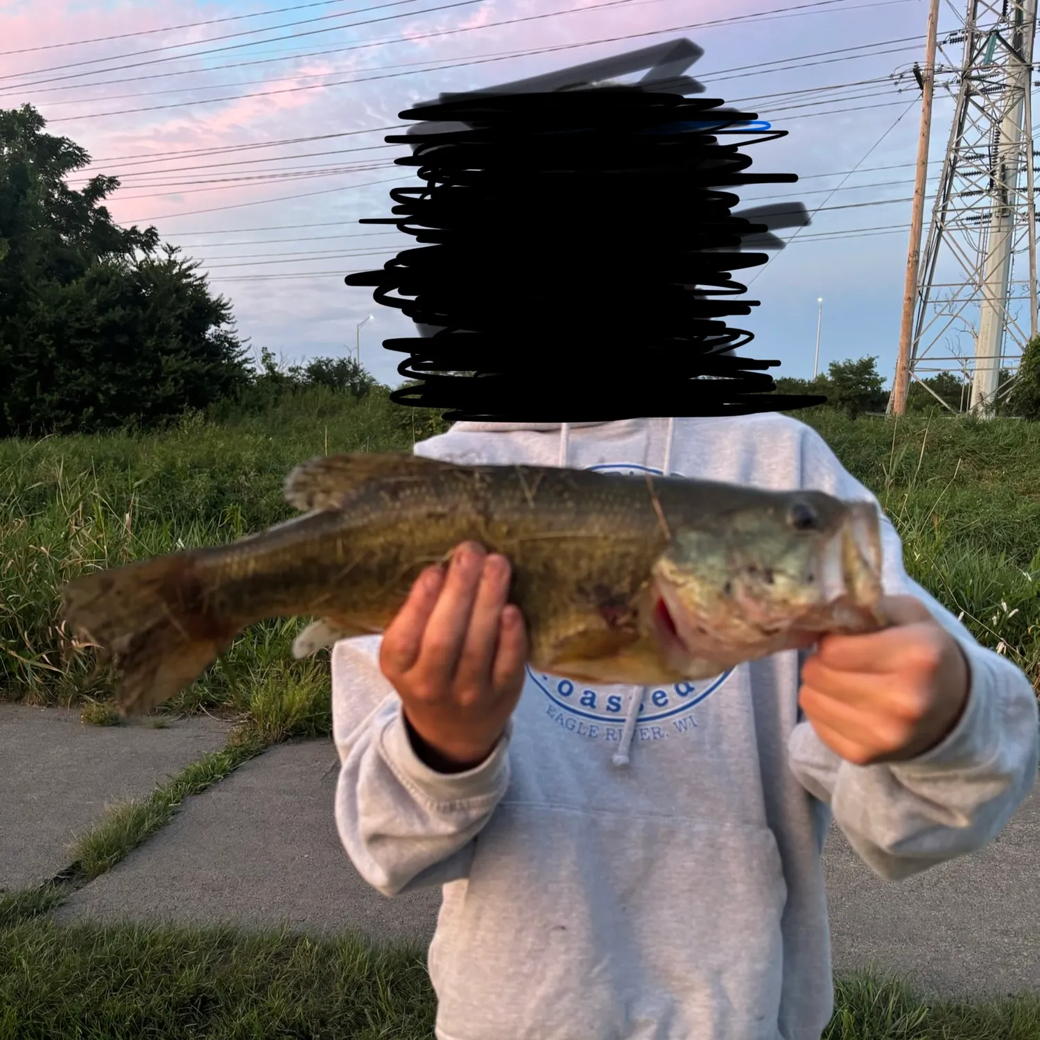 Largemouth bass caught on Fishbrain