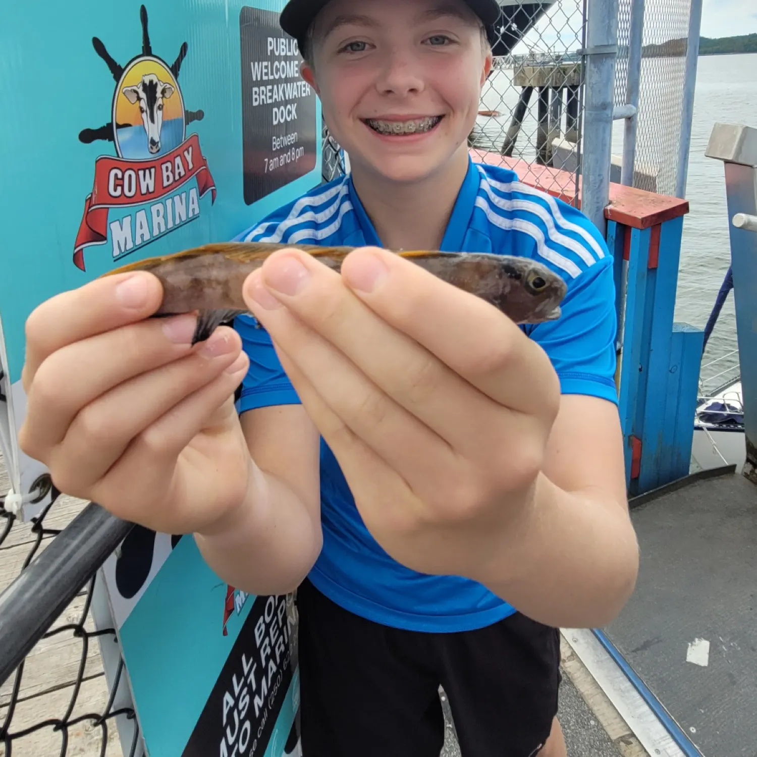 The most recent Shimofuri goby catches on Fishbrain