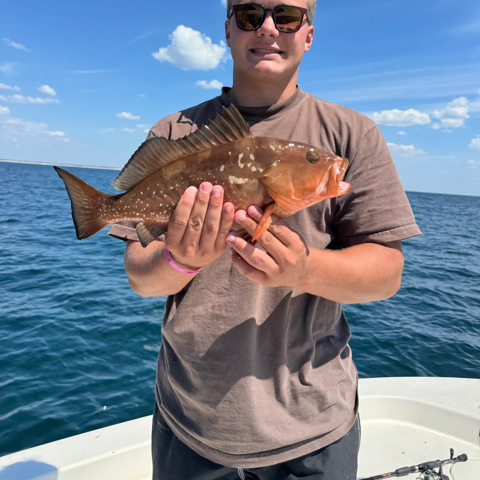 The most recent Red grouper catches on Fishbrain