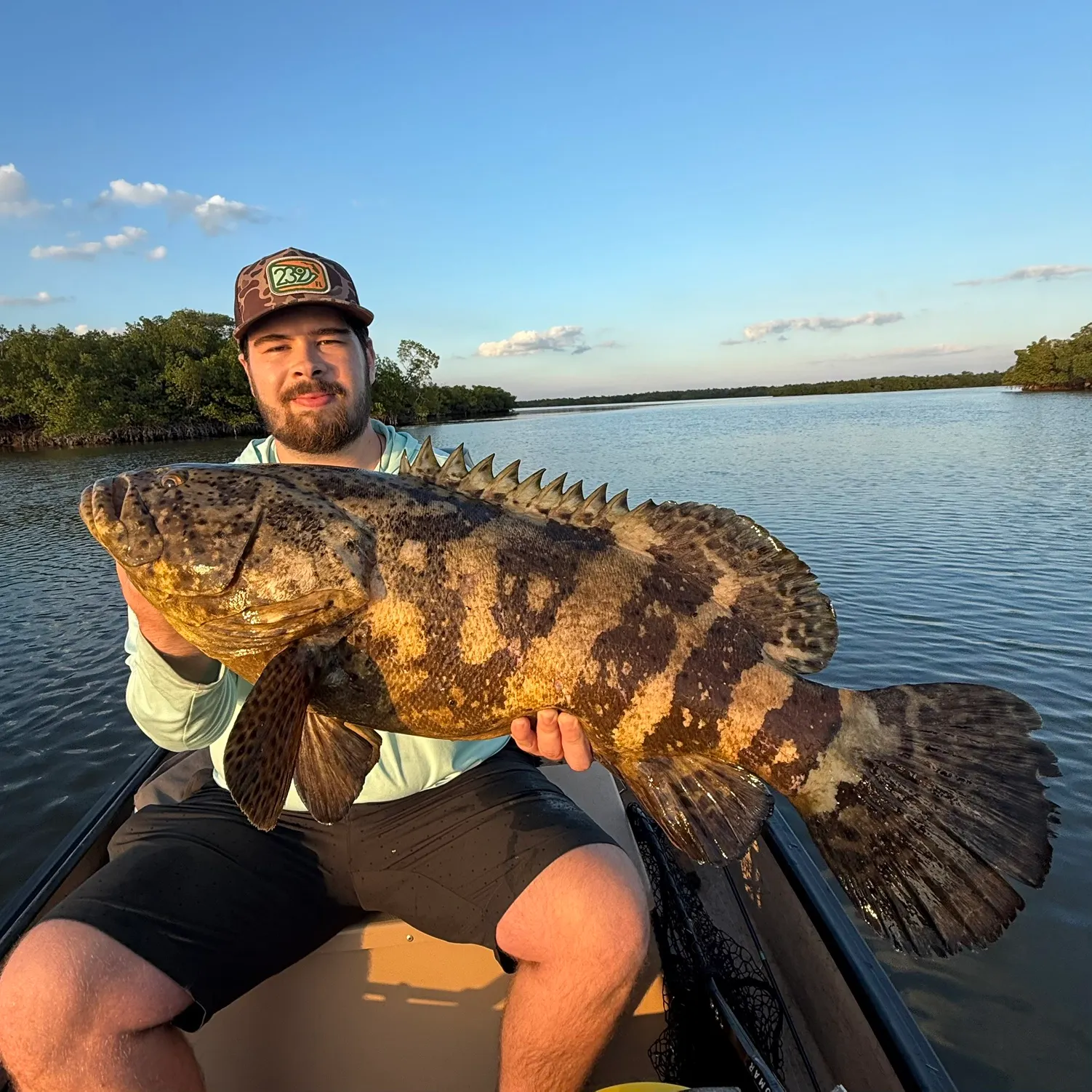 The most recent Atlantic goliath grouper catches on Fishbrain
