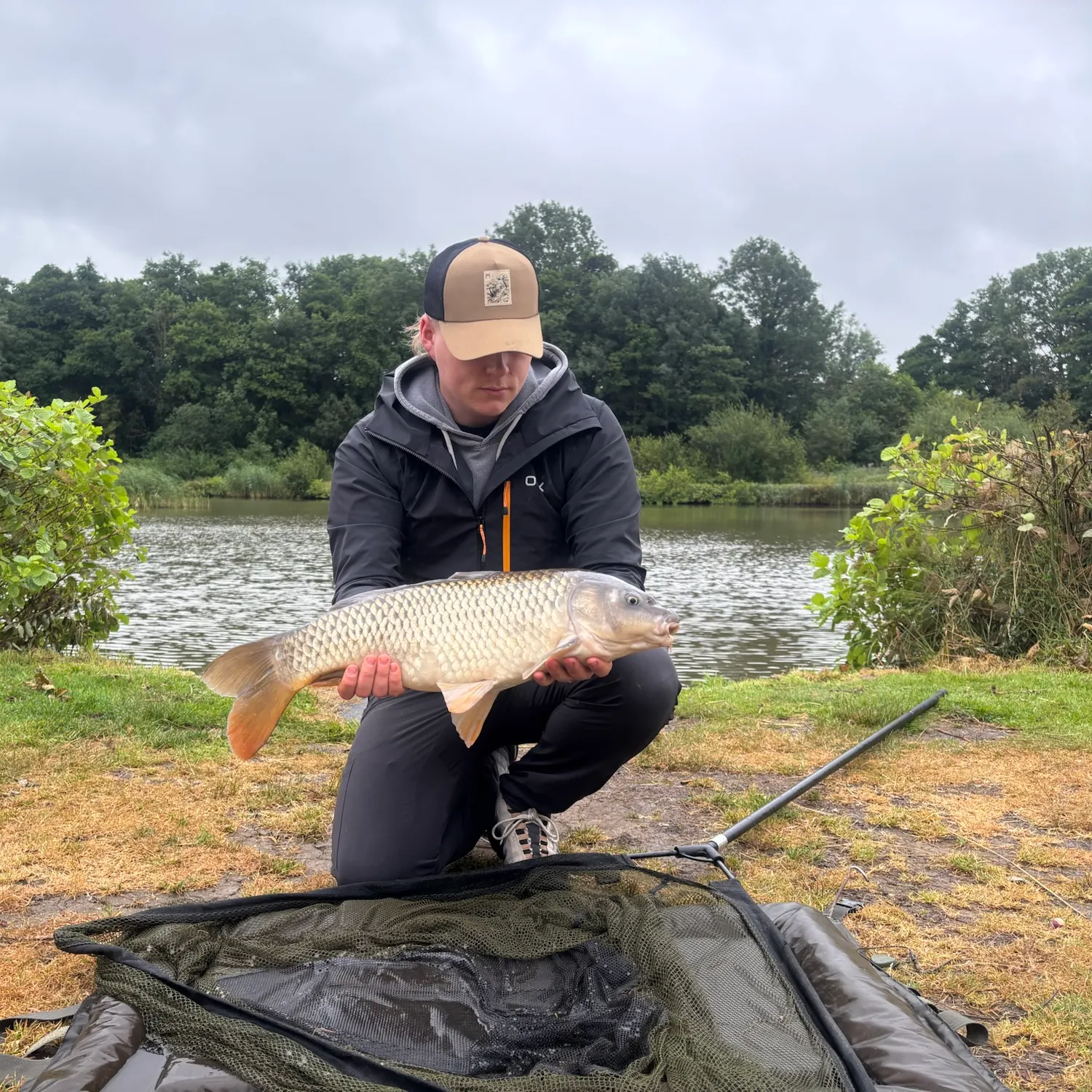 Common carp caught on Fishbrain