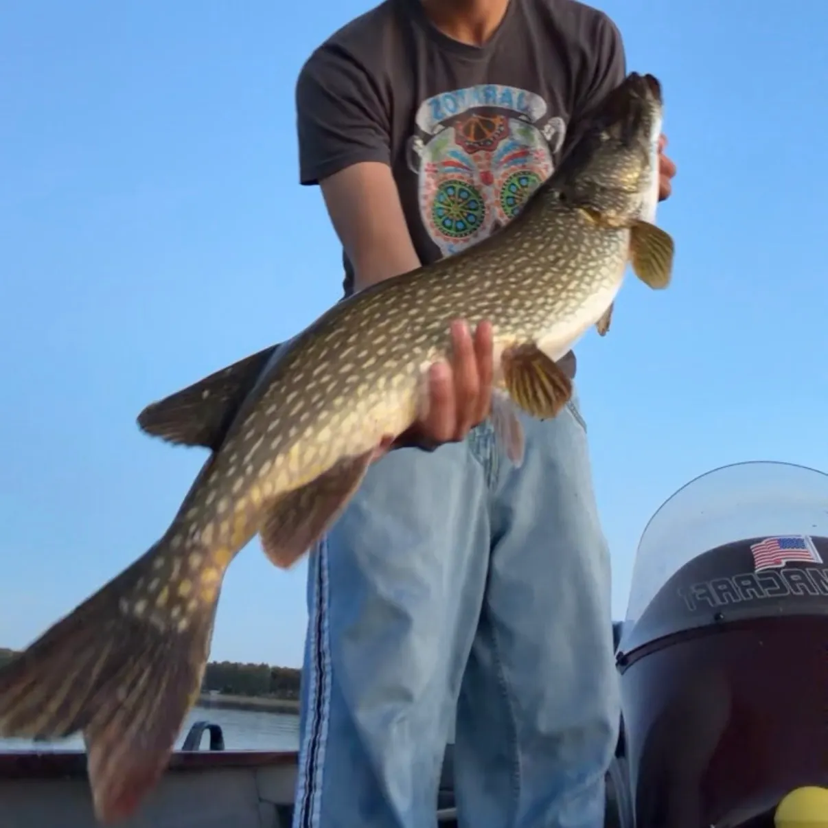 Northern pike caught on Fishbrain
