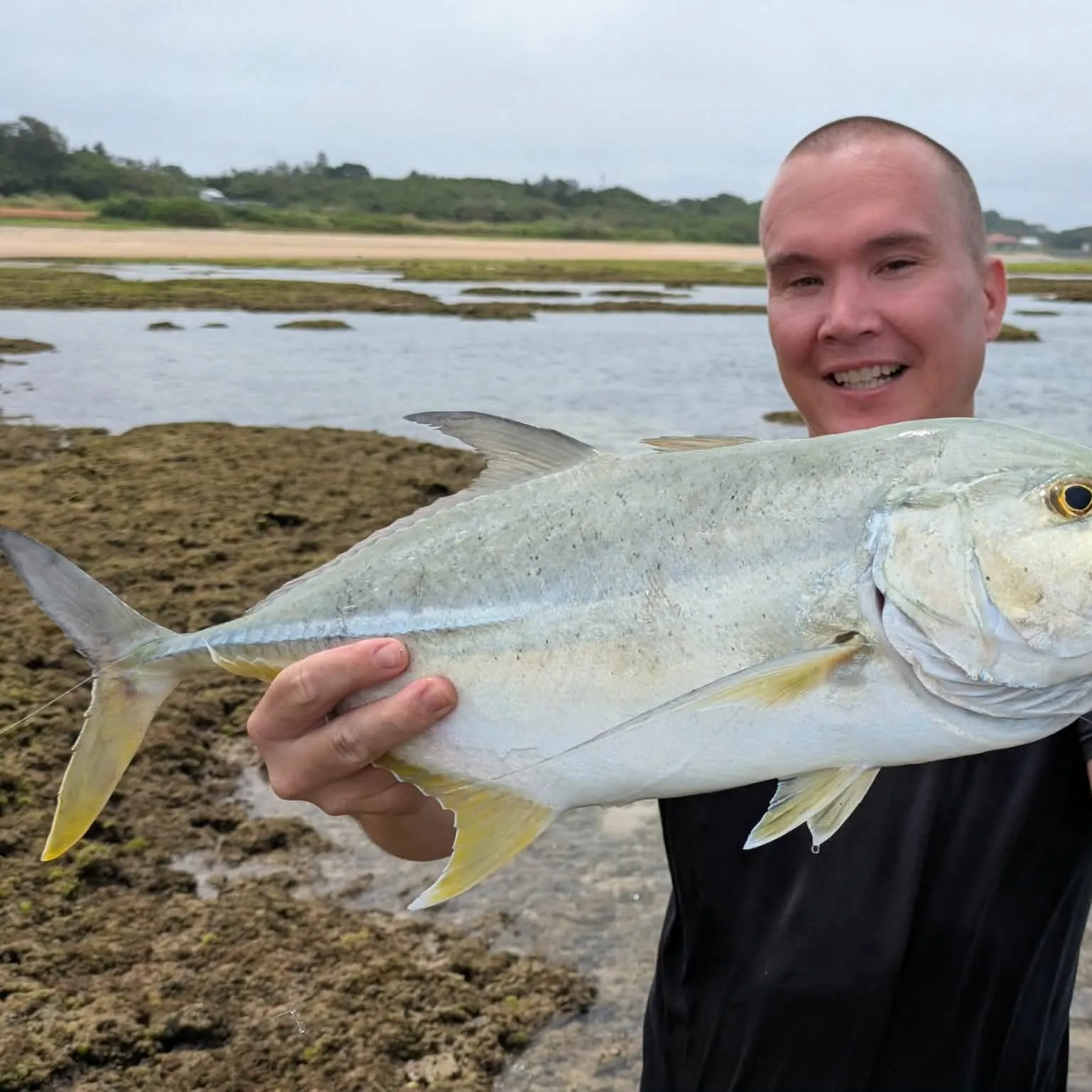 The most recent Golden trevally catches on Fishbrain