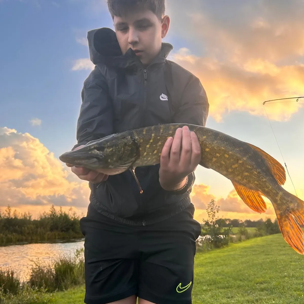Northern pike caught on Fishbrain