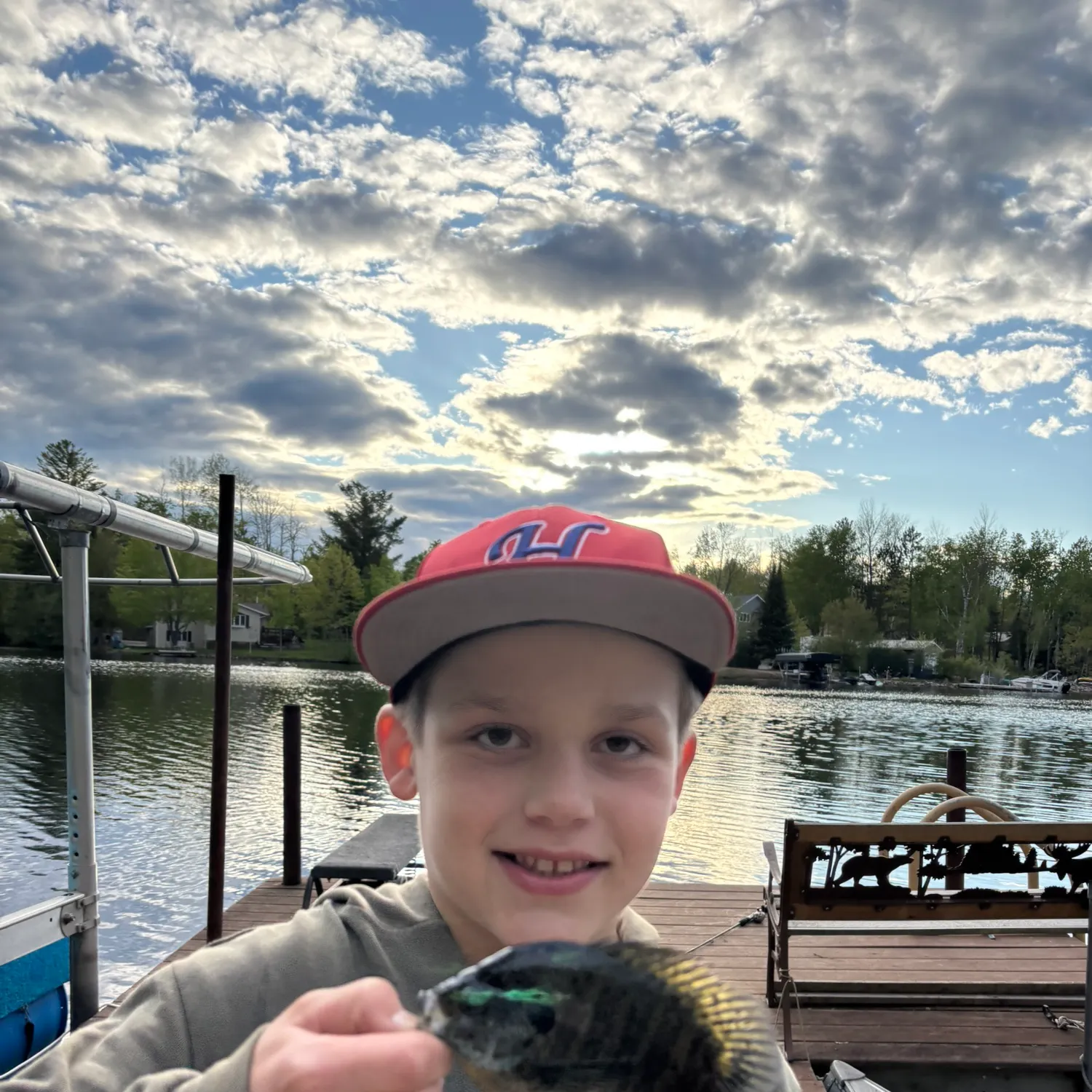 The most recent Bluegill catches on Fishbrain