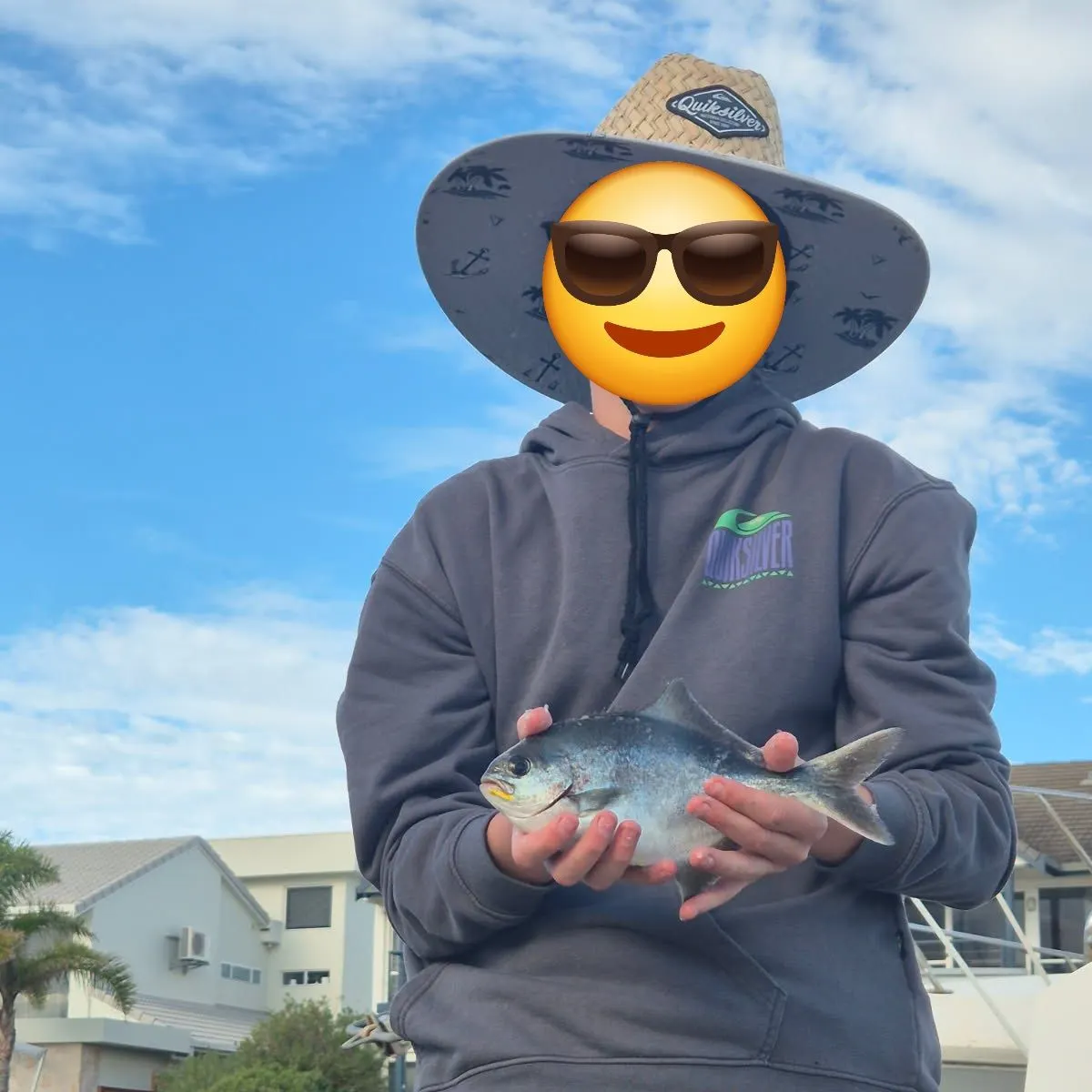 The most recent Sea sweep catches on Fishbrain