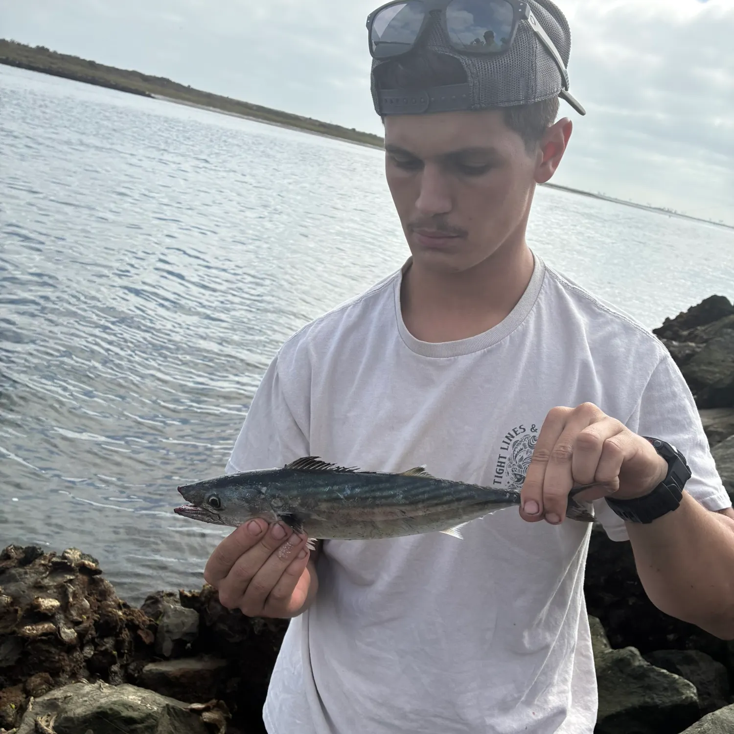 Pacific bonito caught on Fishbrain