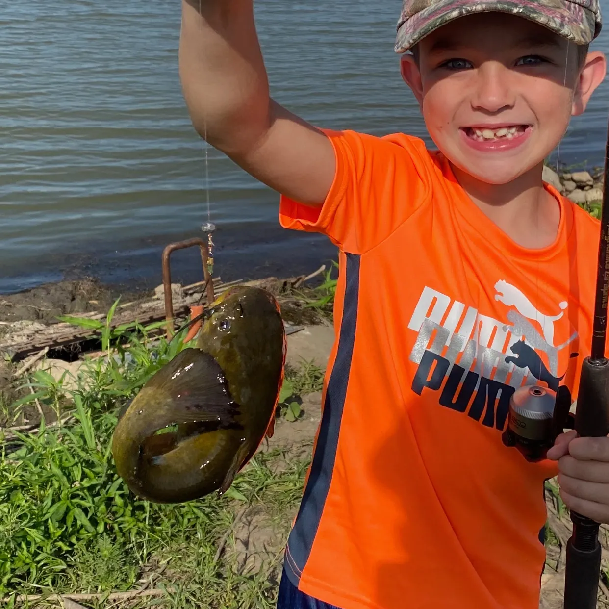 Yellow bullhead caught on Fishbrain