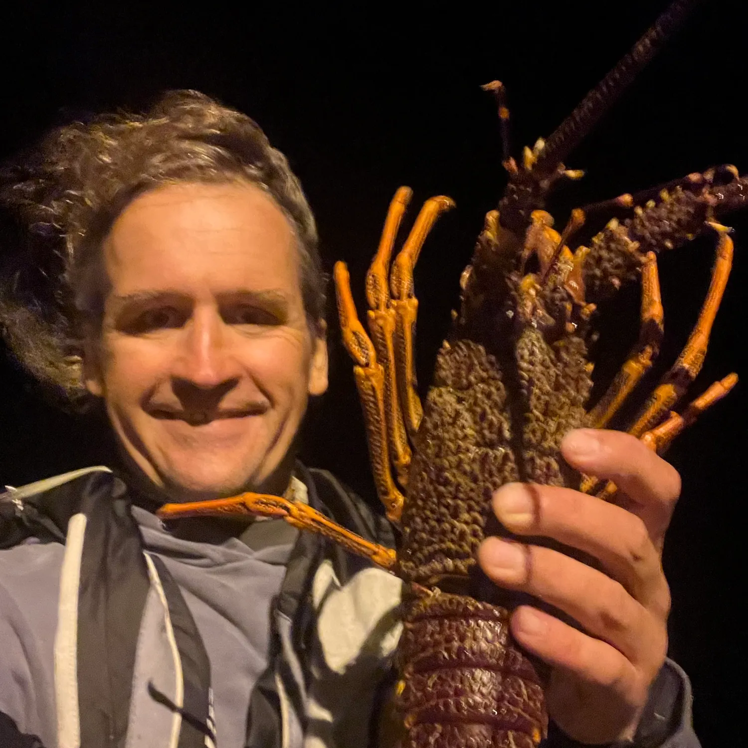 The most recent Southern rock lobster catches on Fishbrain