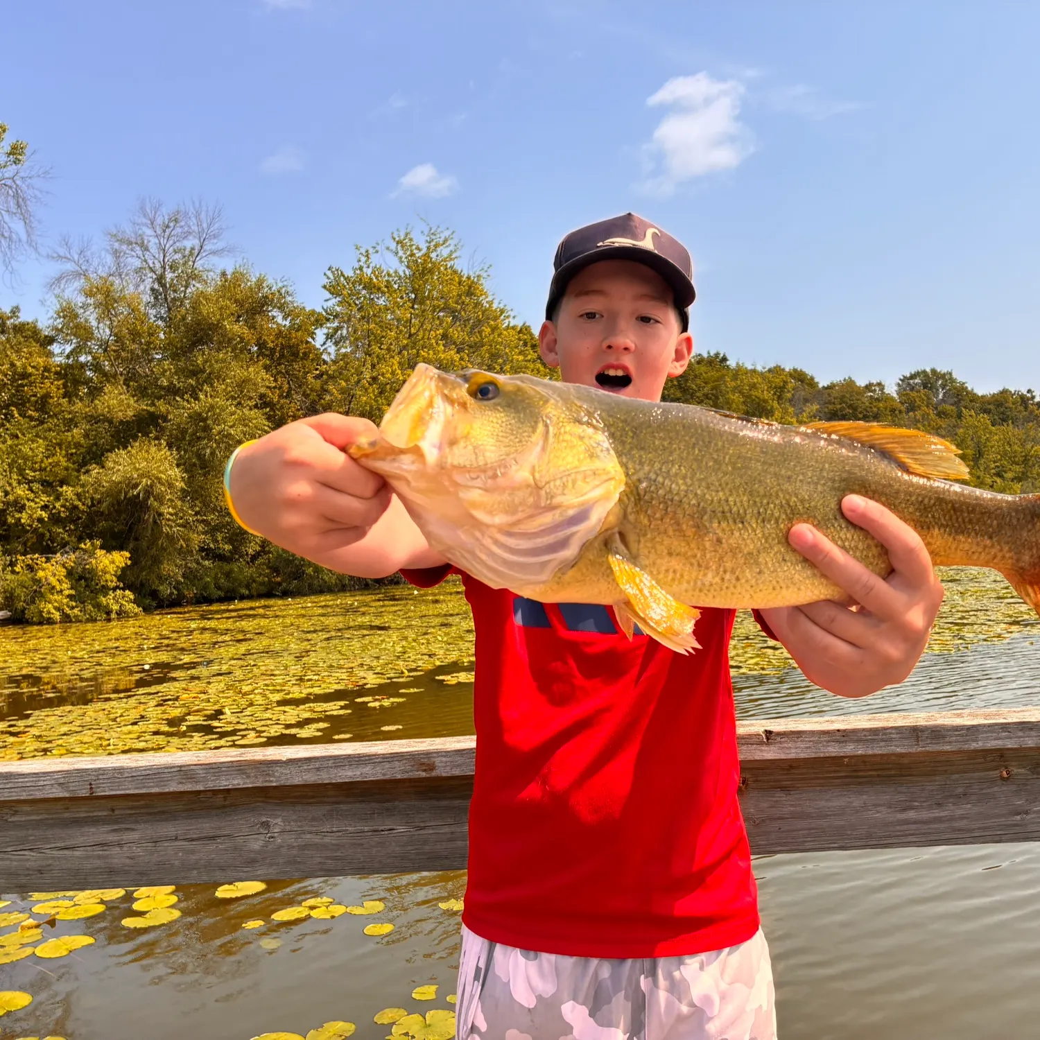 Largemouth bass caught on Fishbrain