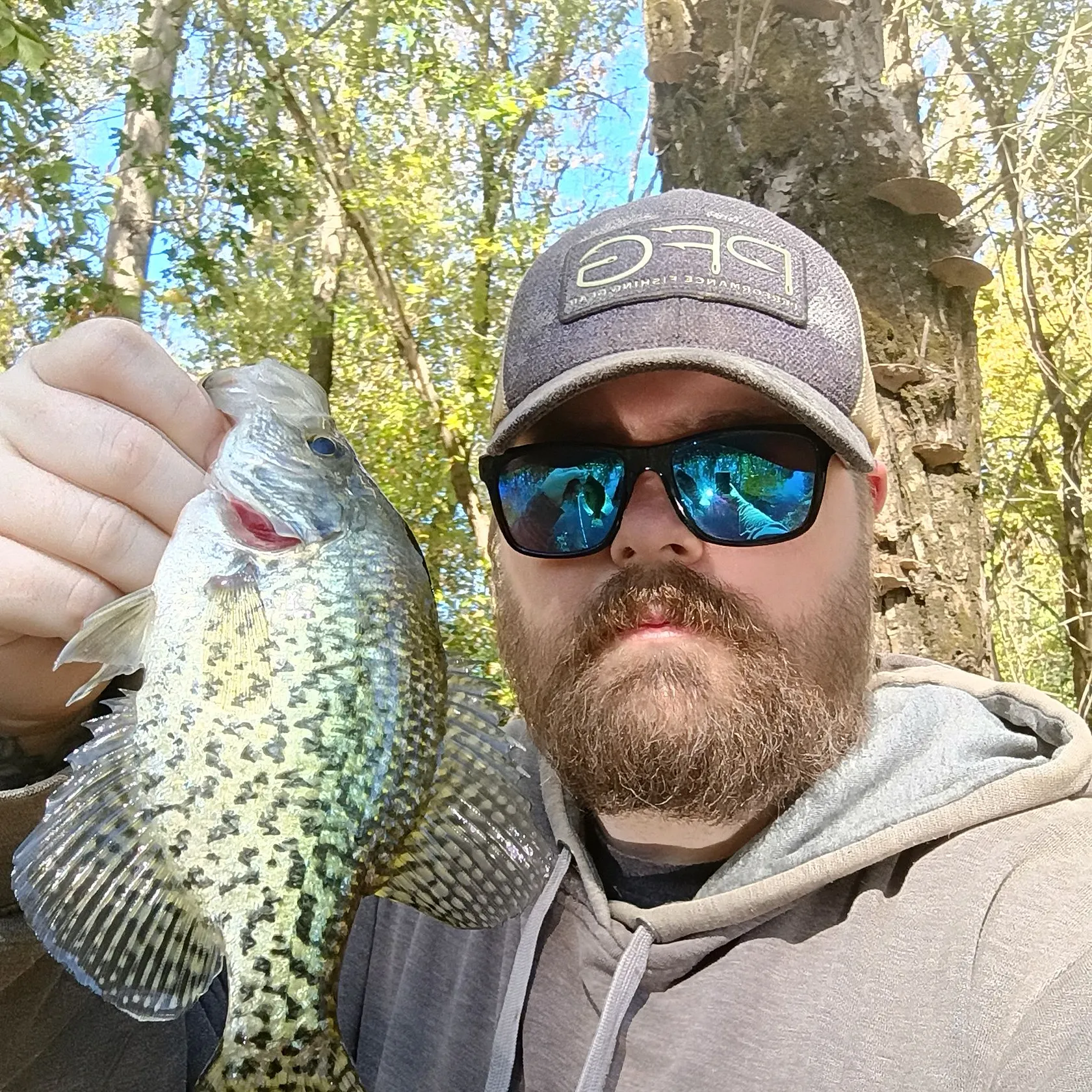 Black crappie caught on Fishbrain
