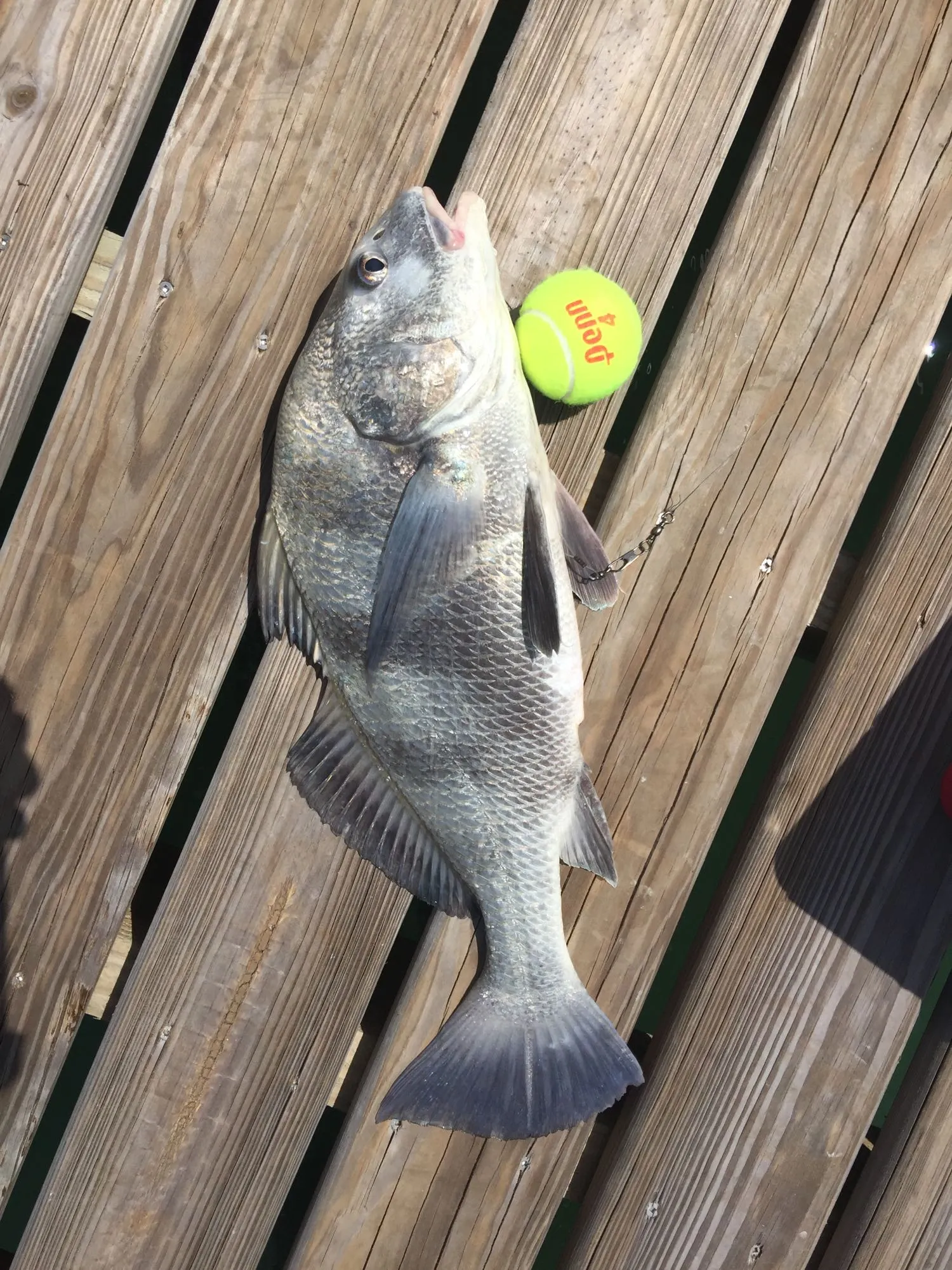 Post image from fcoryell