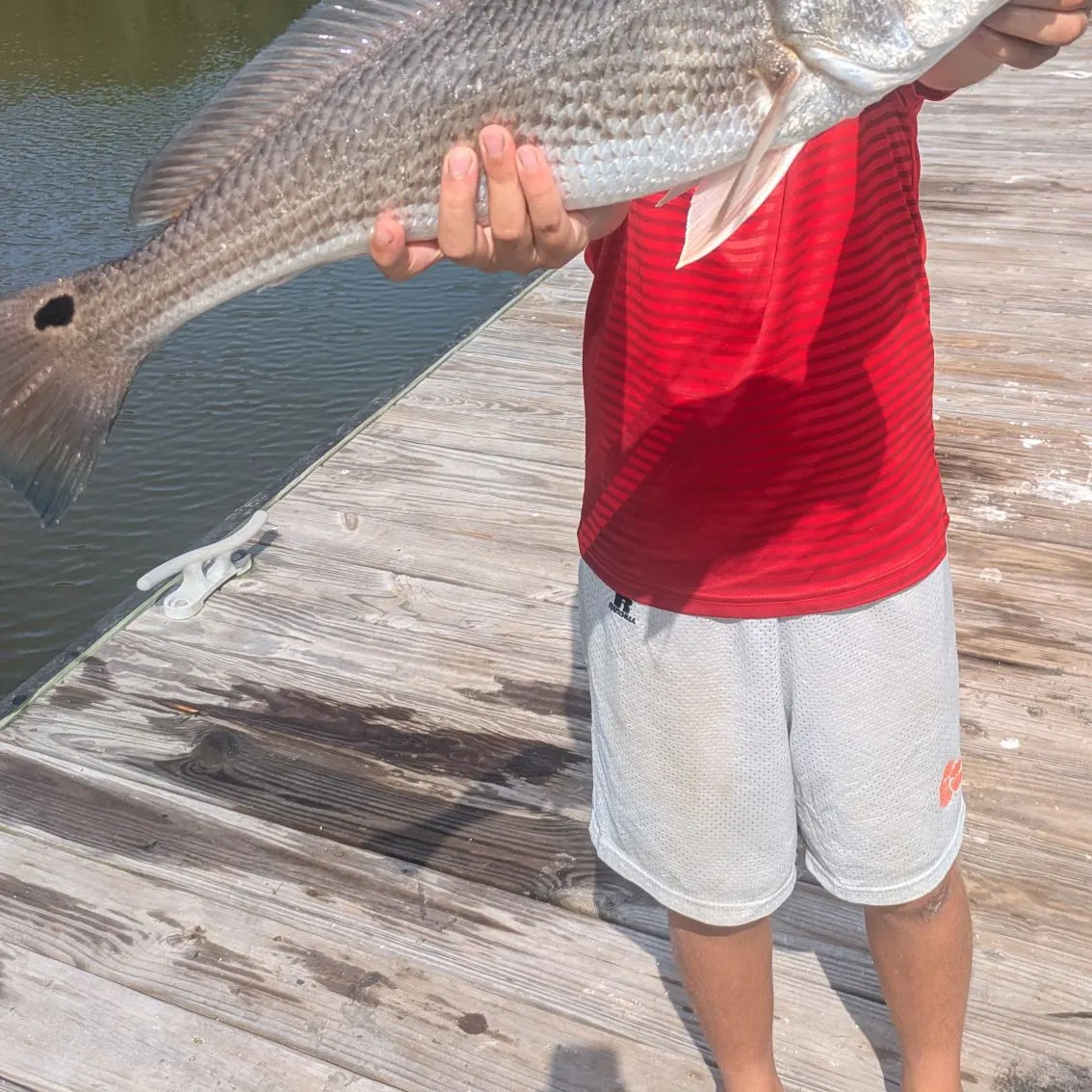 Fish caught on Fishbrain