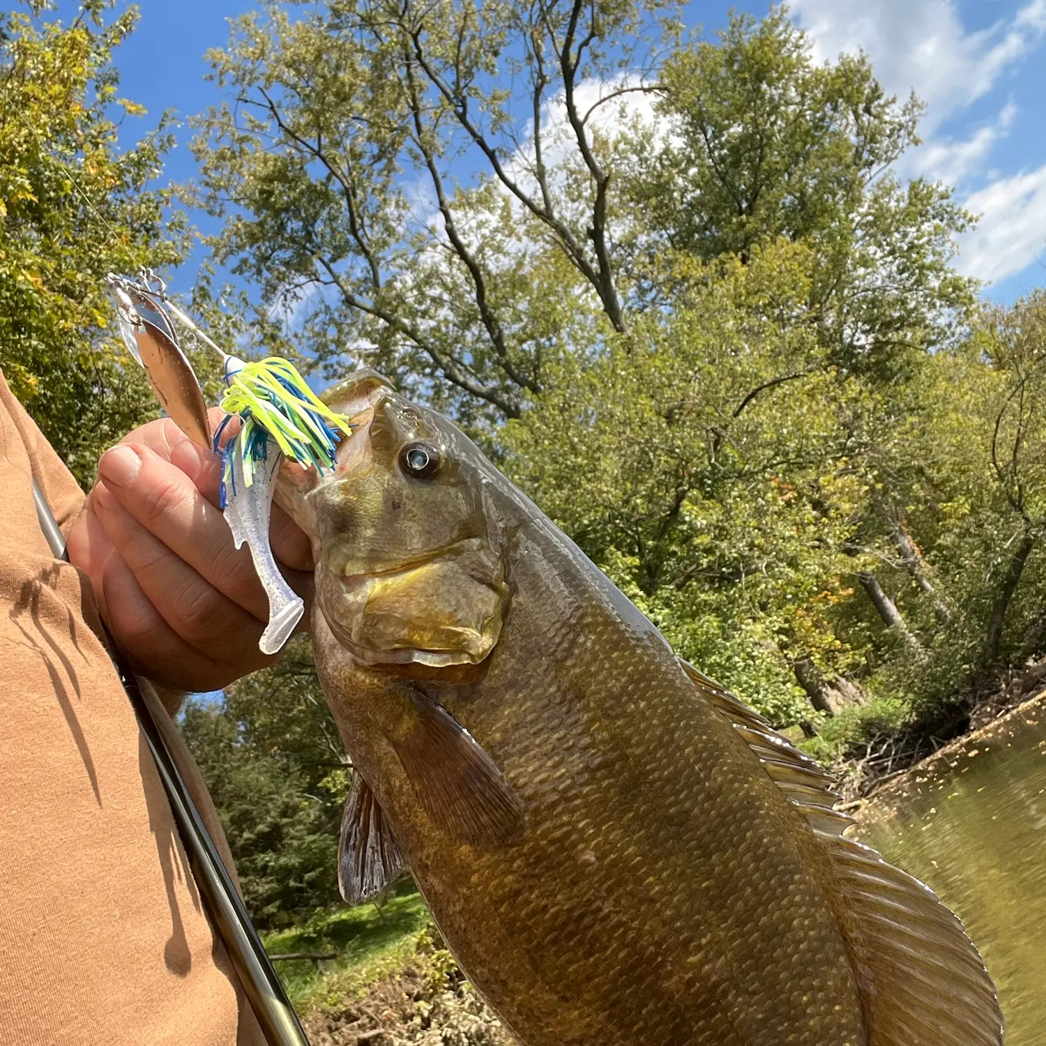 Smallmouth bass caught on Fishbrain