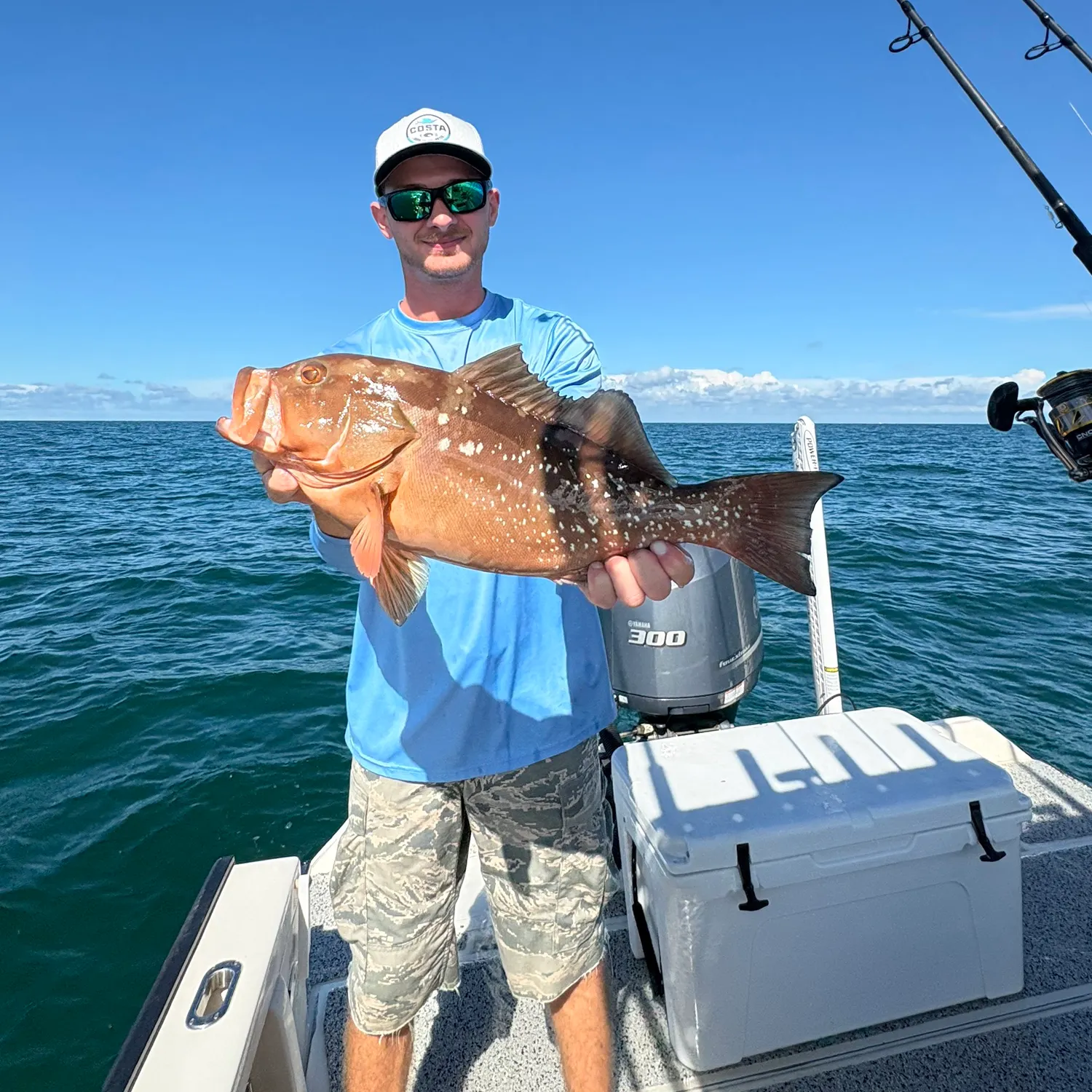 Red grouper caught on Fishbrain