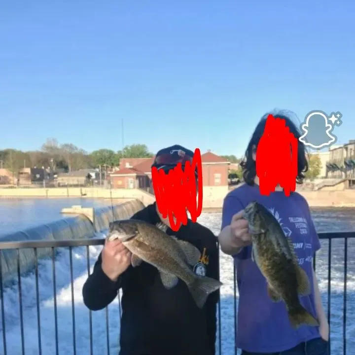 The most recent Blue sucker catches on Fishbrain