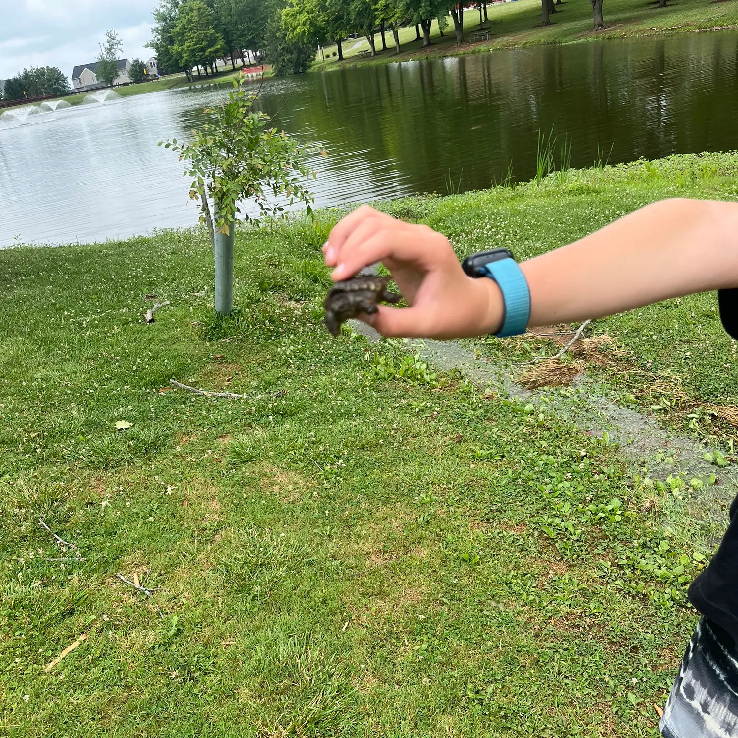 catch