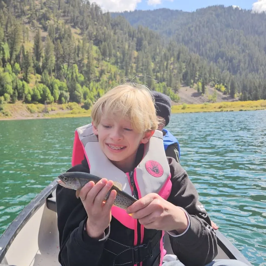 Cutthroat trout caught on Fishbrain