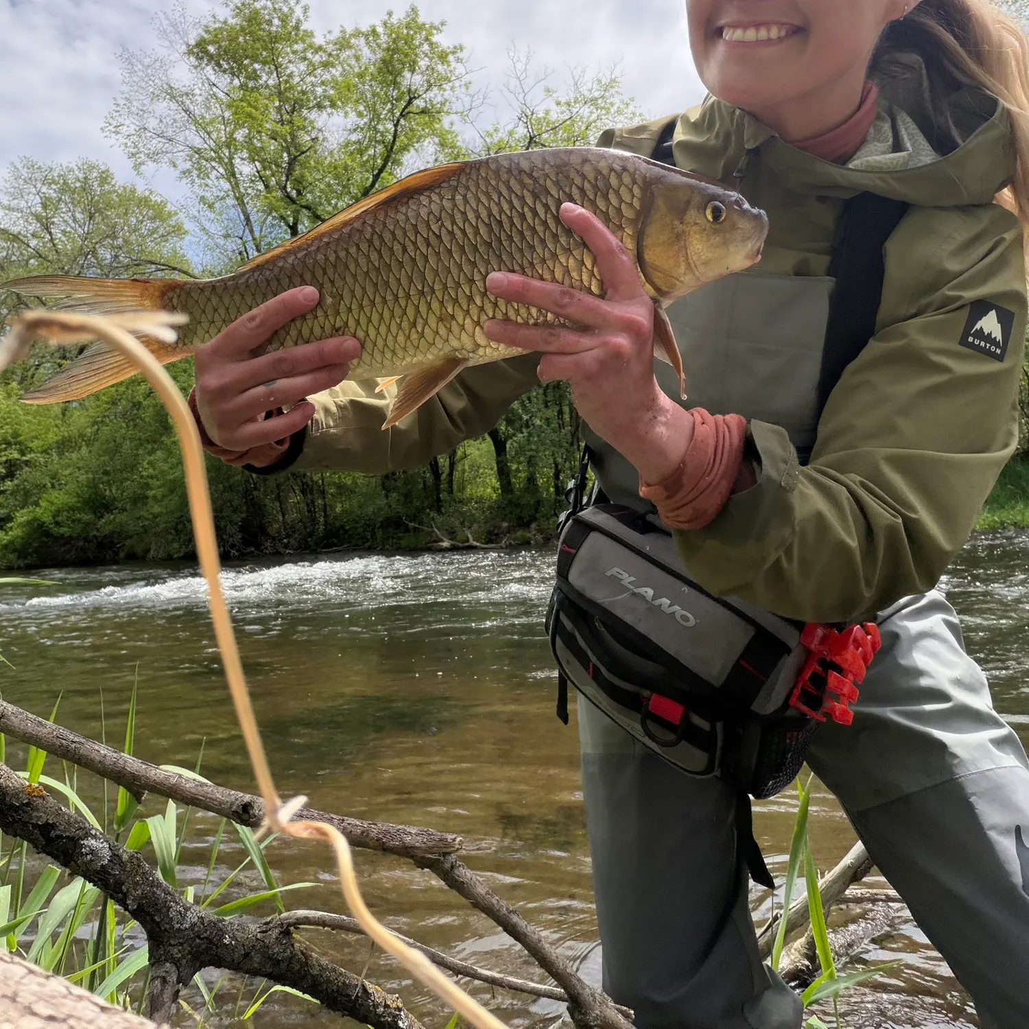 The most recent Quillback catches on Fishbrain