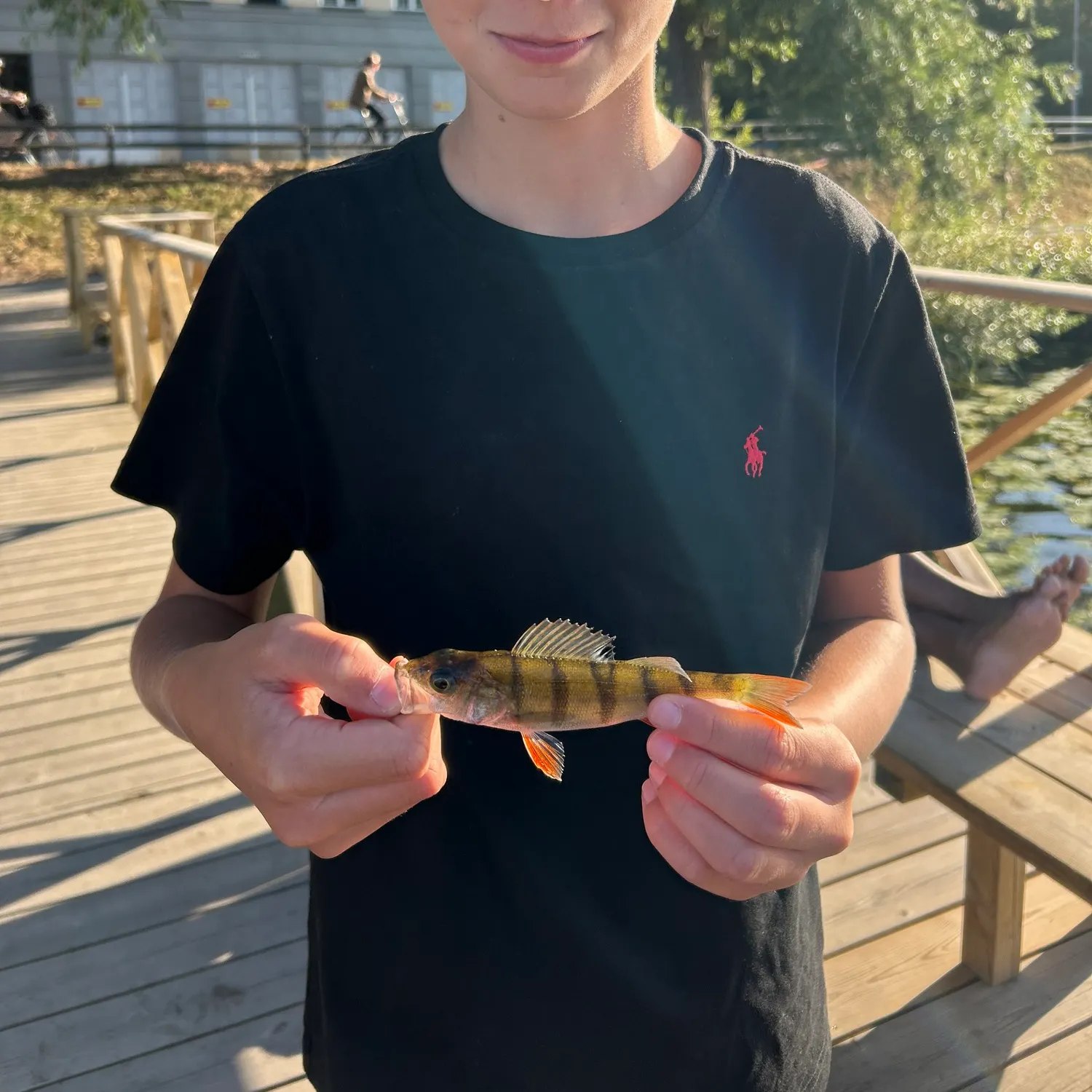 Fish caught on Fishbrain