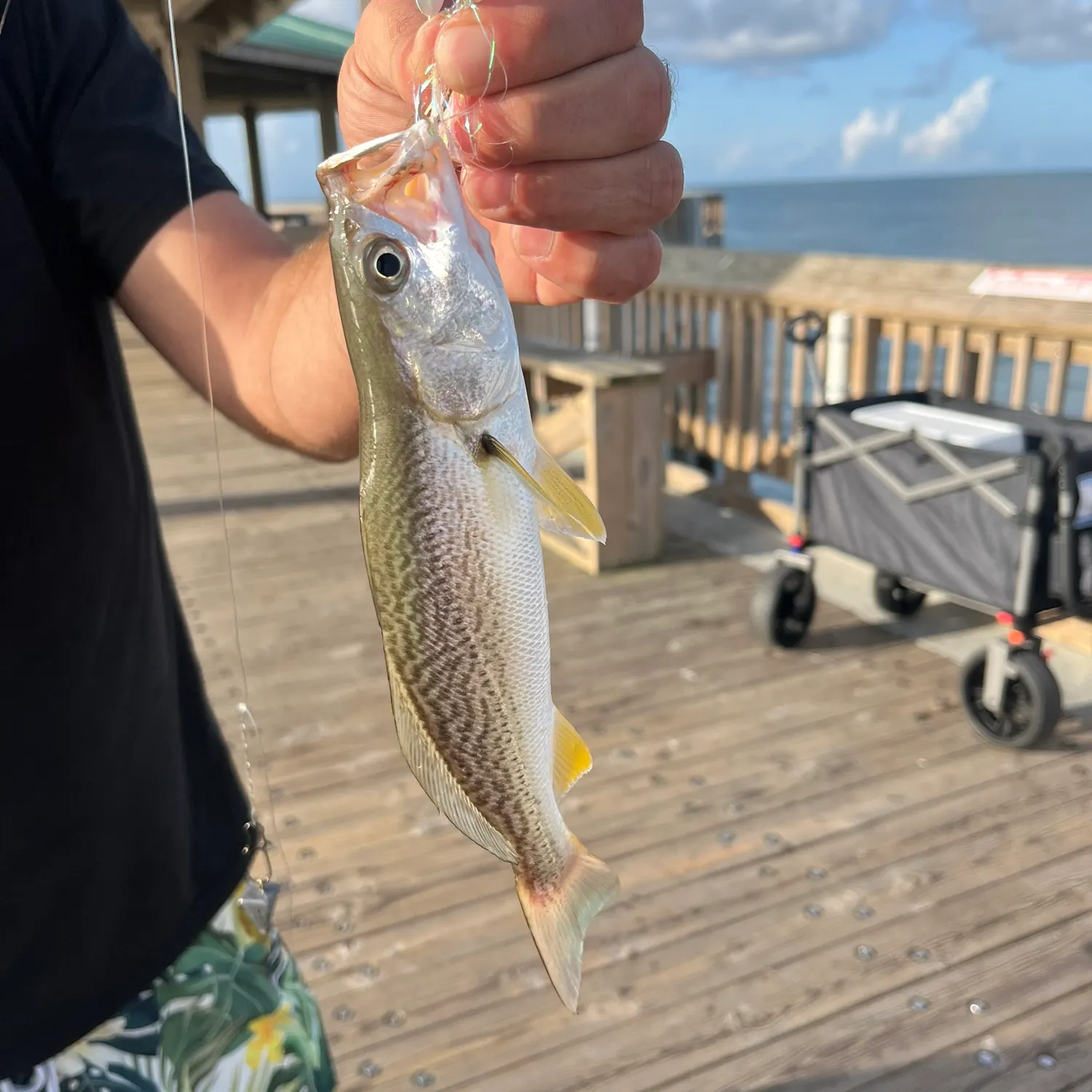 most liked catch image