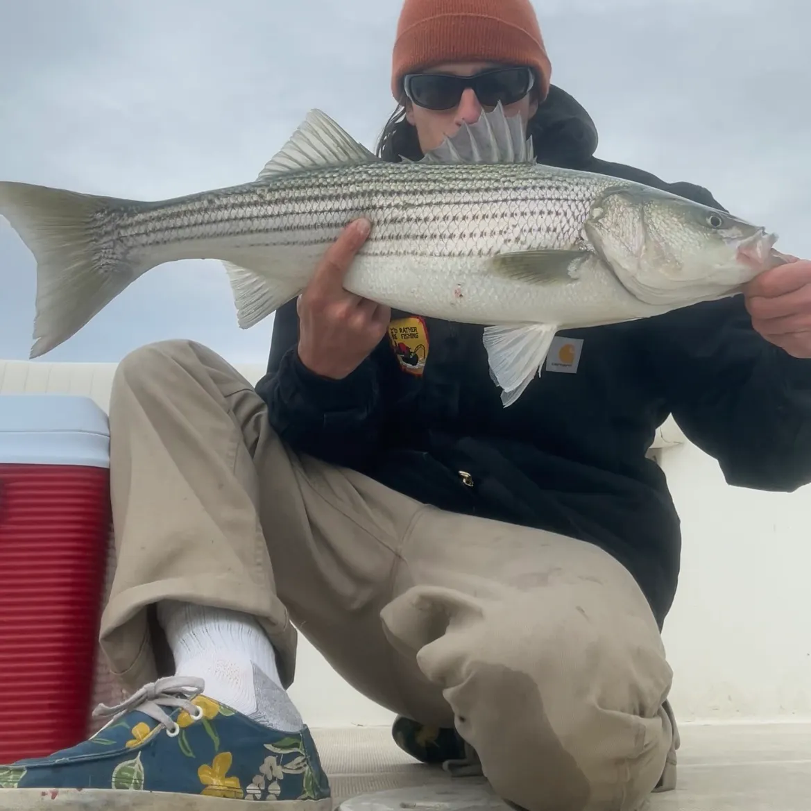 recently logged catches