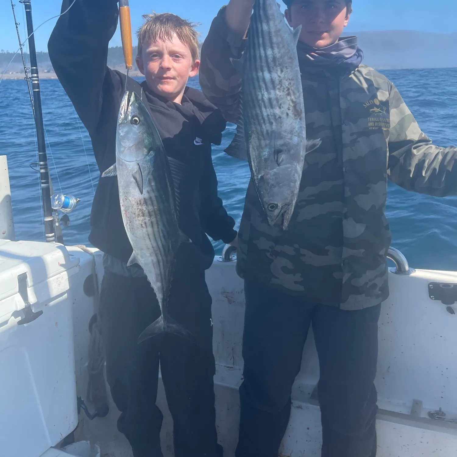 Pacific bonito caught on Fishbrain