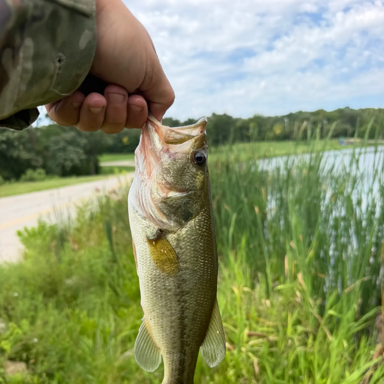 catch