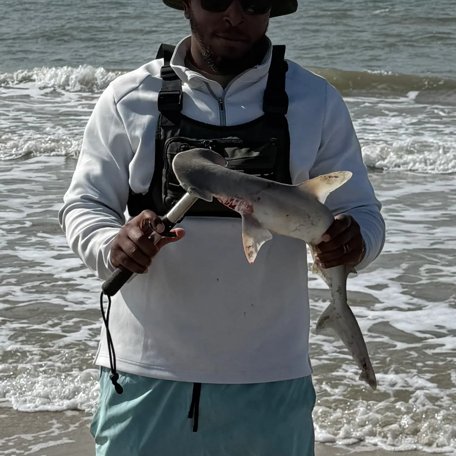 The most recent Great hammerhead shark catches on Fishbrain