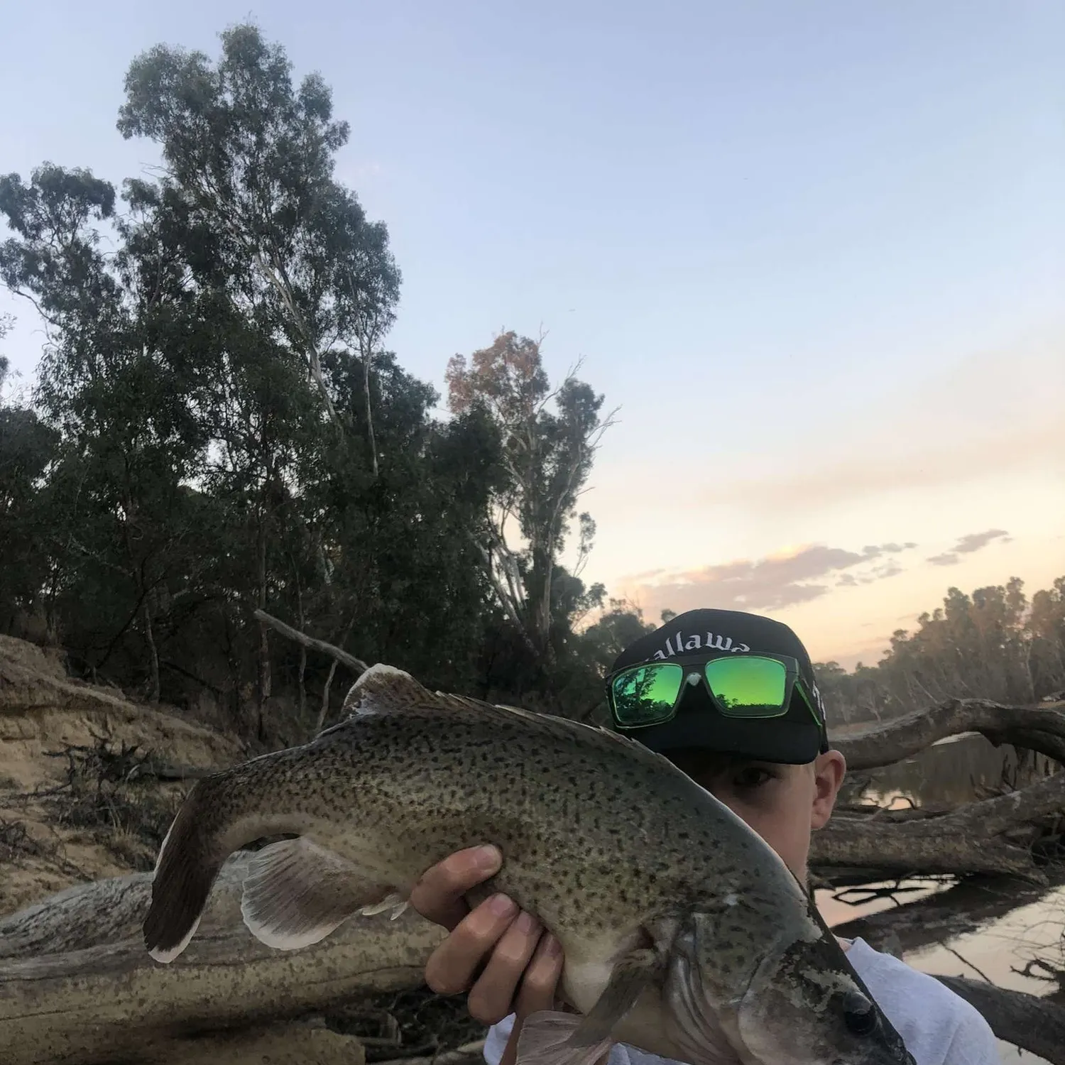 most liked catch image